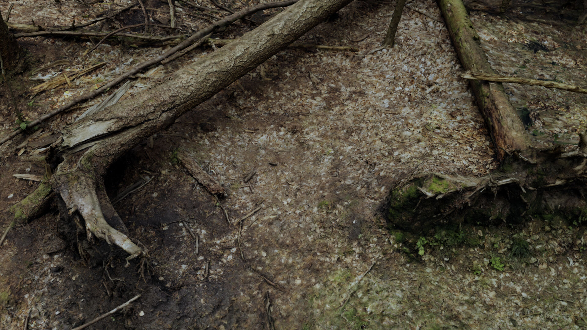 Fallen tree 3D model_2