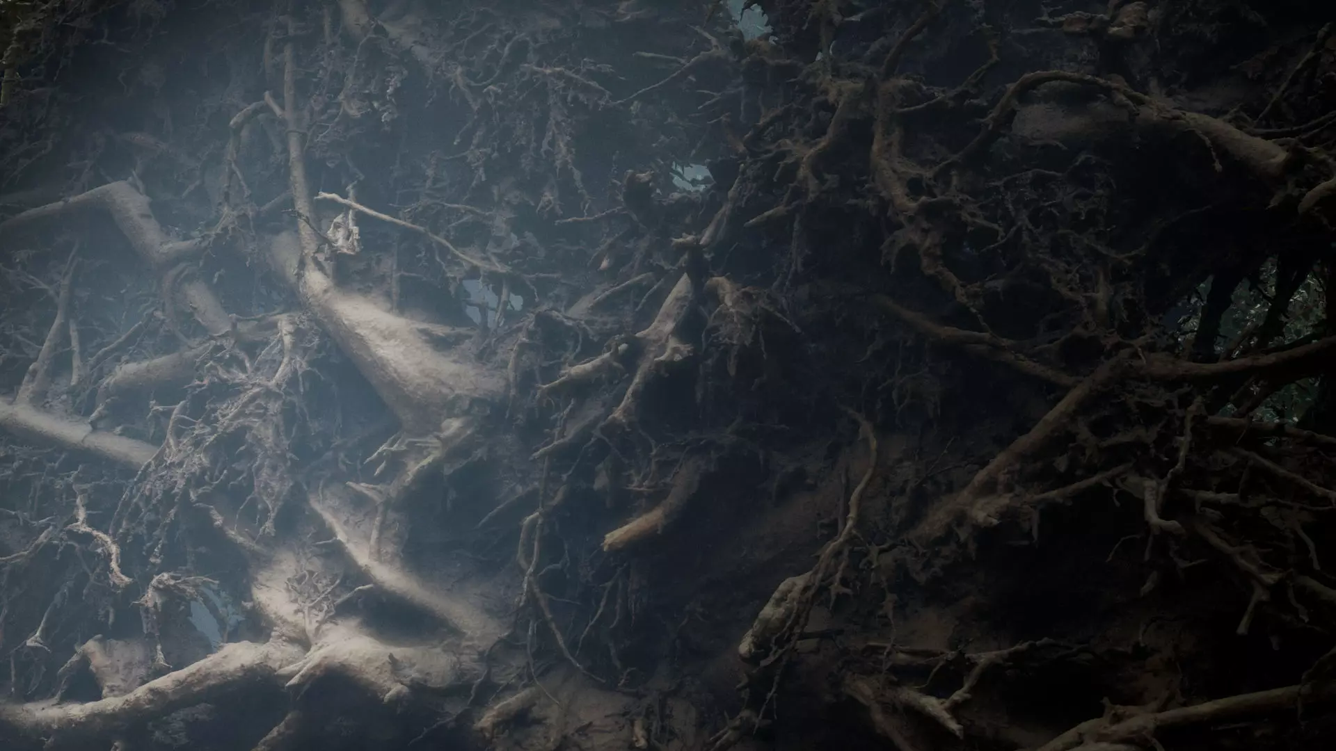 Fallen tree 3D model_0