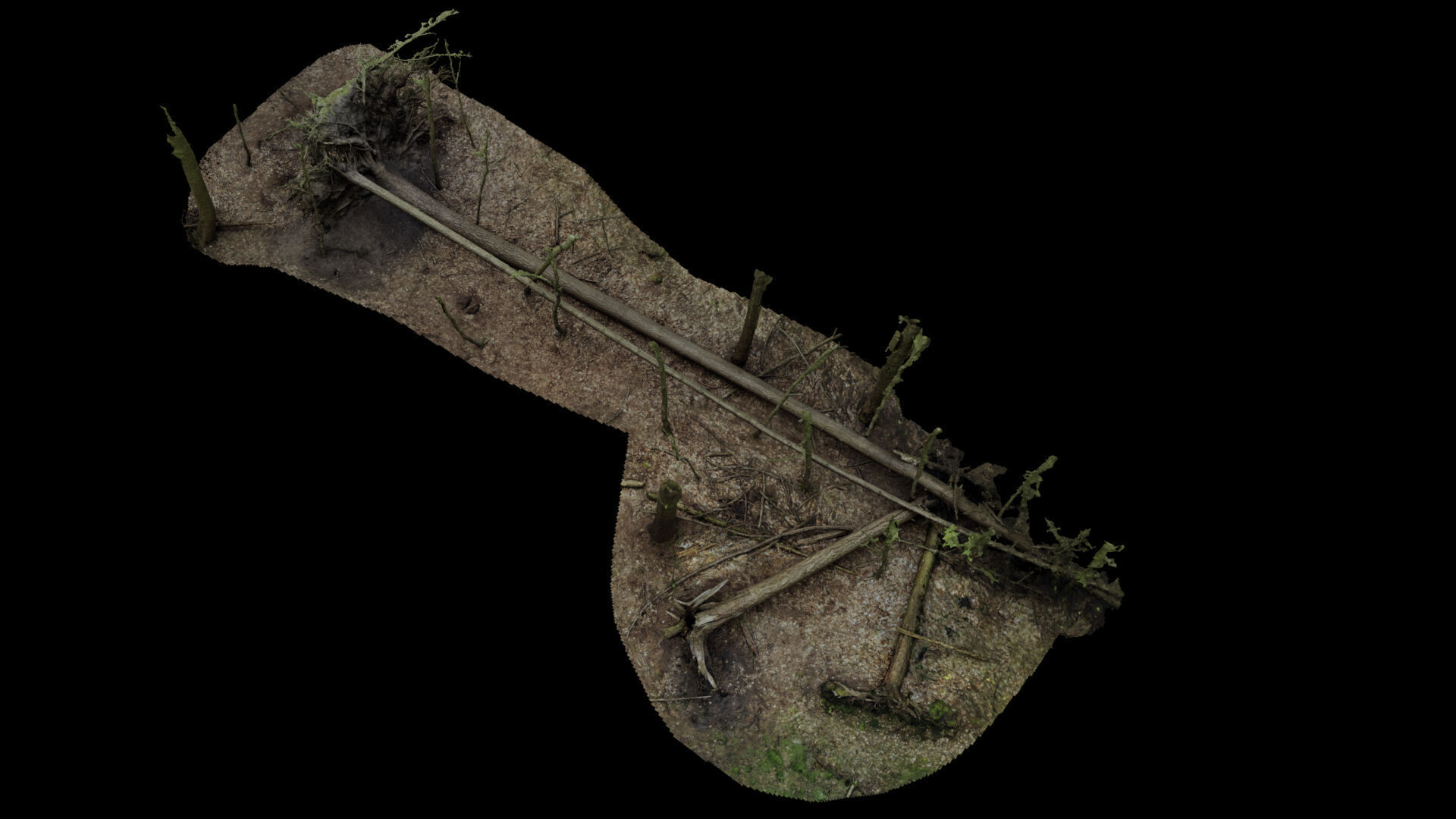 Fallen tree 3D model_3