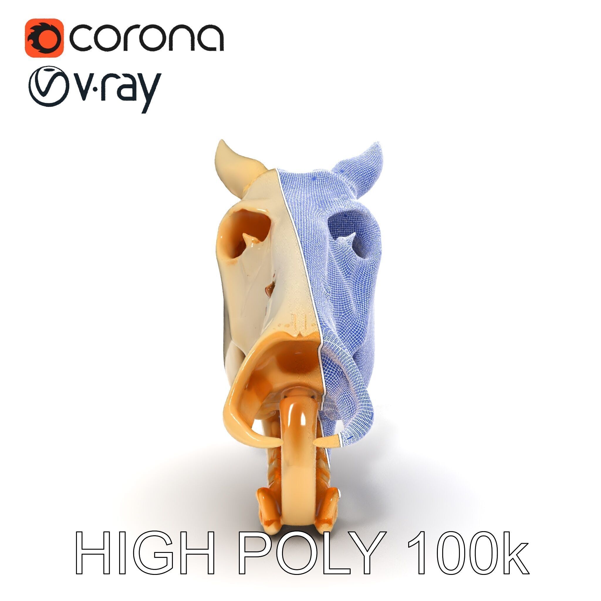 Realistic Animal Skull Model Pack Low-poly 3D model_35