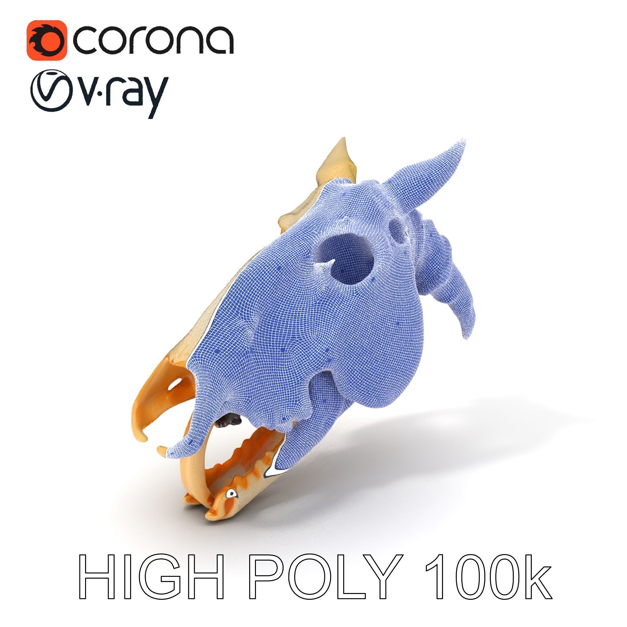 Realistic Animal Skull Model Pack Low-poly 3D model_3
