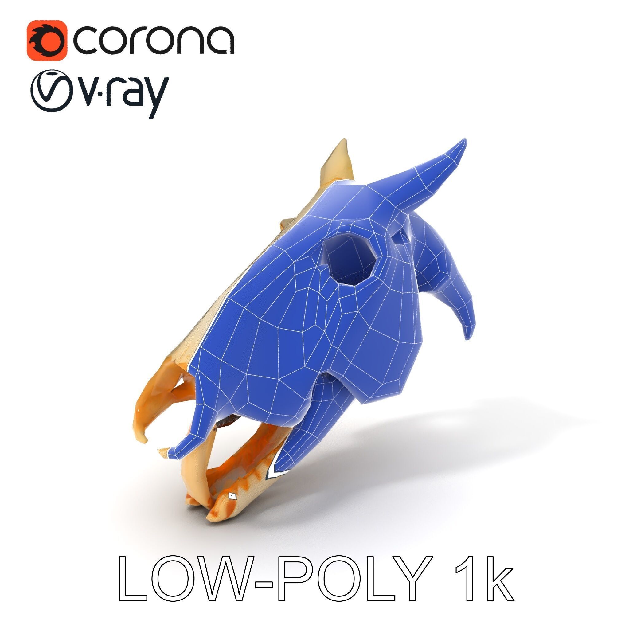 Realistic Animal Skull Model Pack Low-poly 3D model_19
