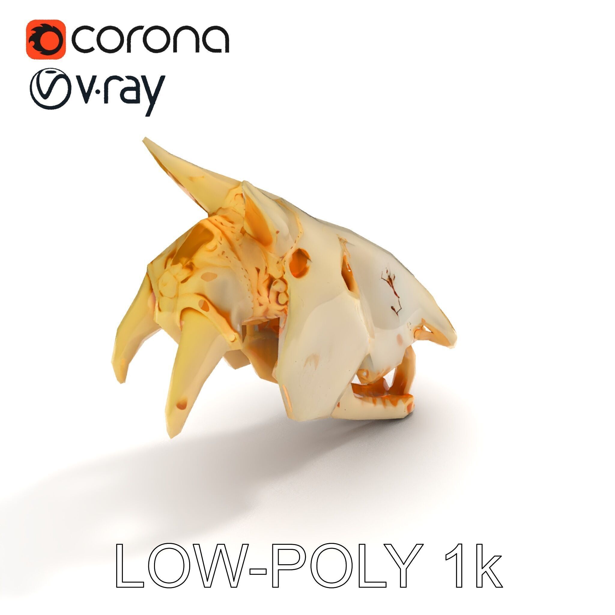 Realistic Animal Skull Model Pack Low-poly 3D model_33