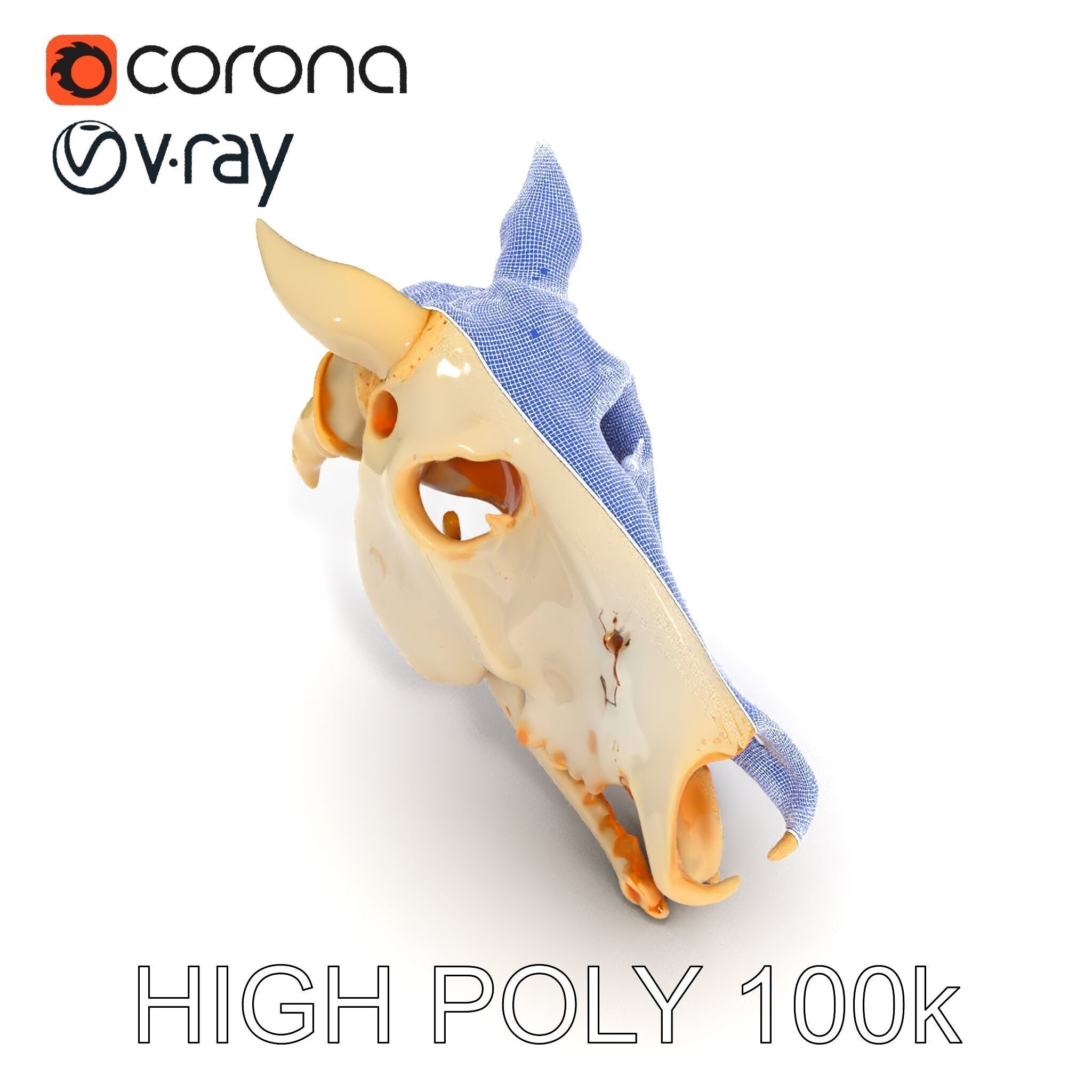 Realistic Animal Skull Model Pack Low-poly 3D model_23