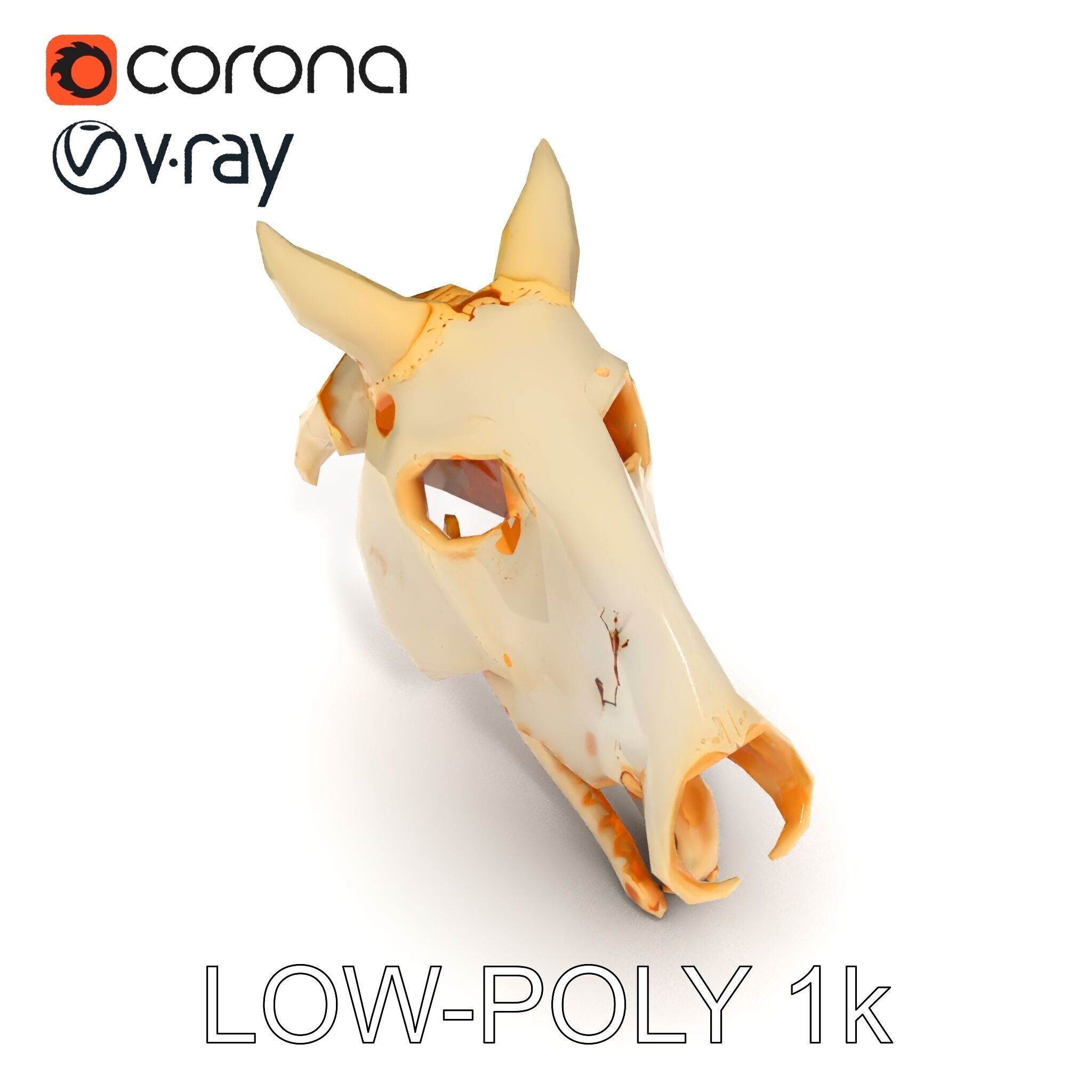 Realistic Animal Skull Model Pack Low-poly 3D model_28