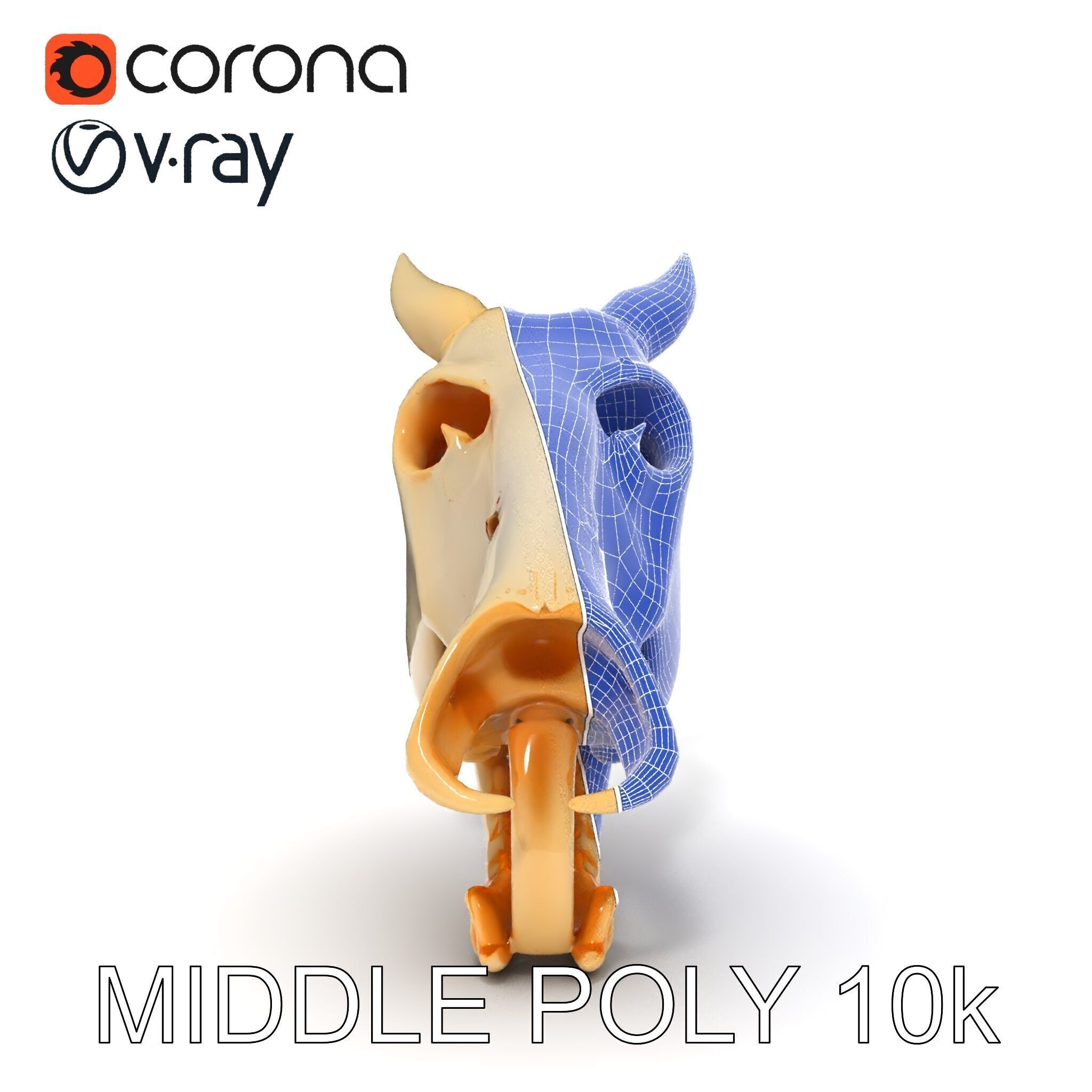 Realistic Animal Skull Model Pack Low-poly 3D model_32