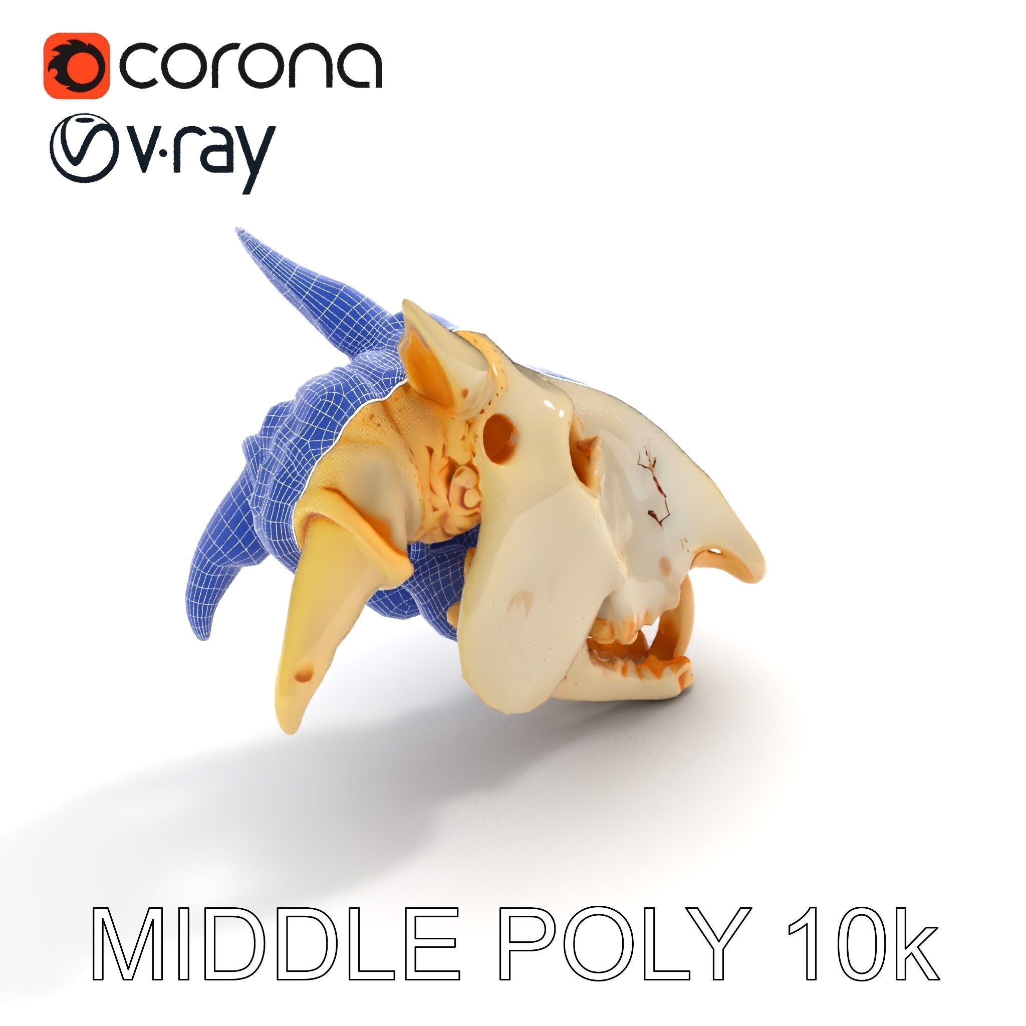 Realistic Animal Skull Model Pack Low-poly 3D model_21
