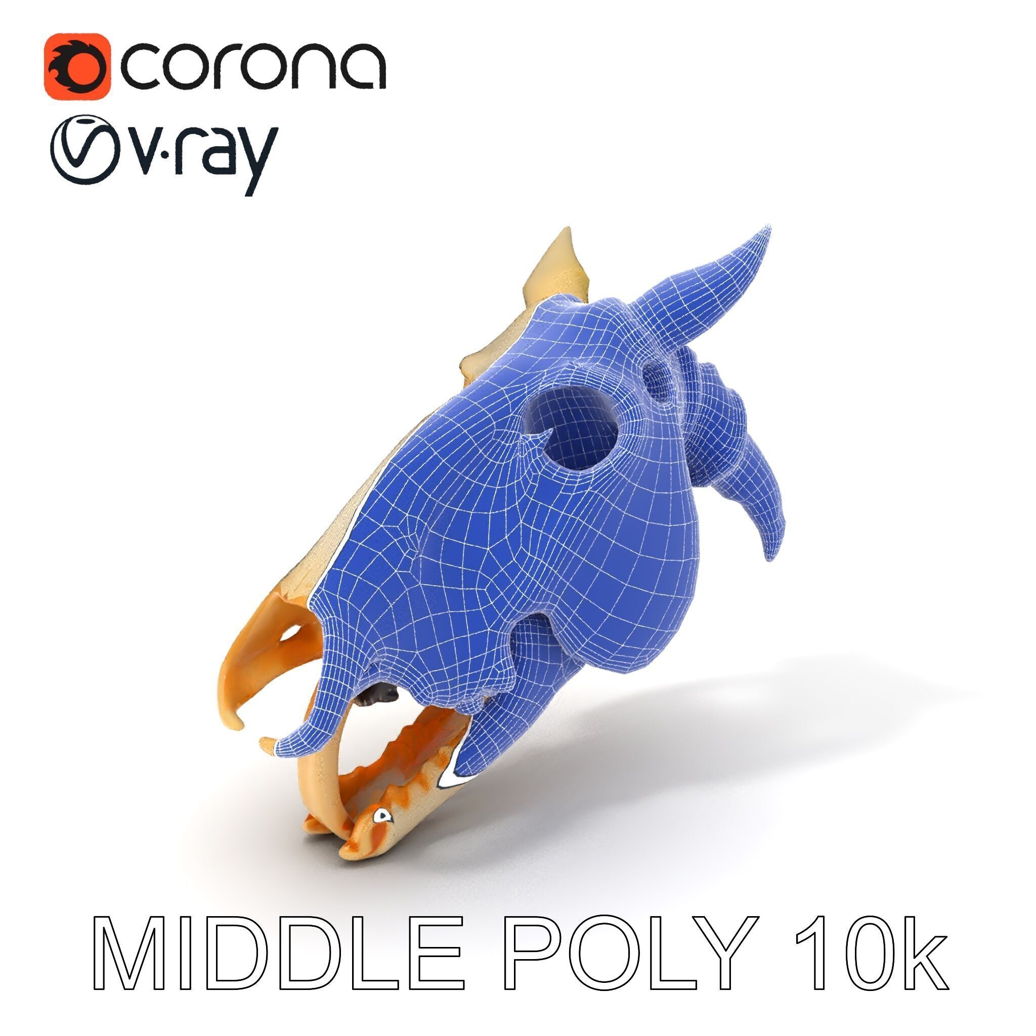 Realistic Animal Skull Model Pack Low-poly 3D model_24