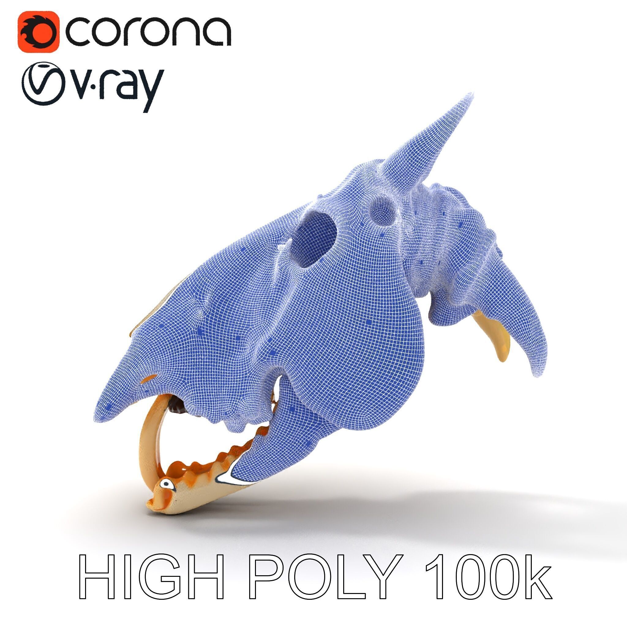 Realistic Animal Skull Model Pack Low-poly 3D model_34