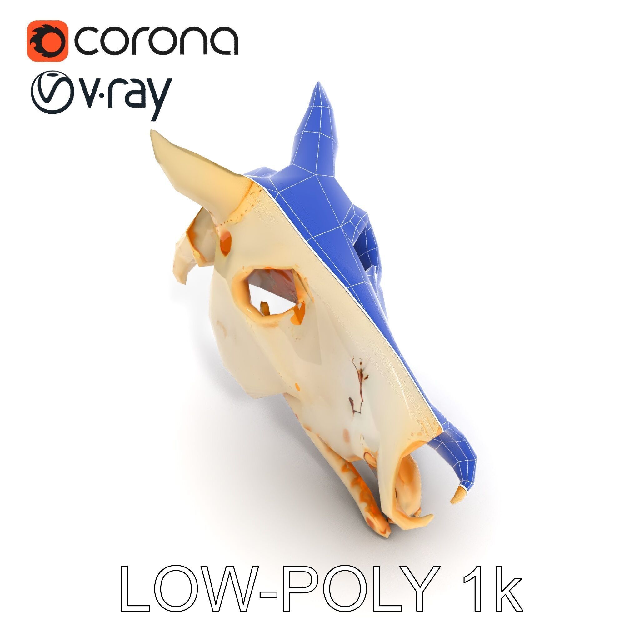 Realistic Animal Skull Model Pack Low-poly 3D model_22