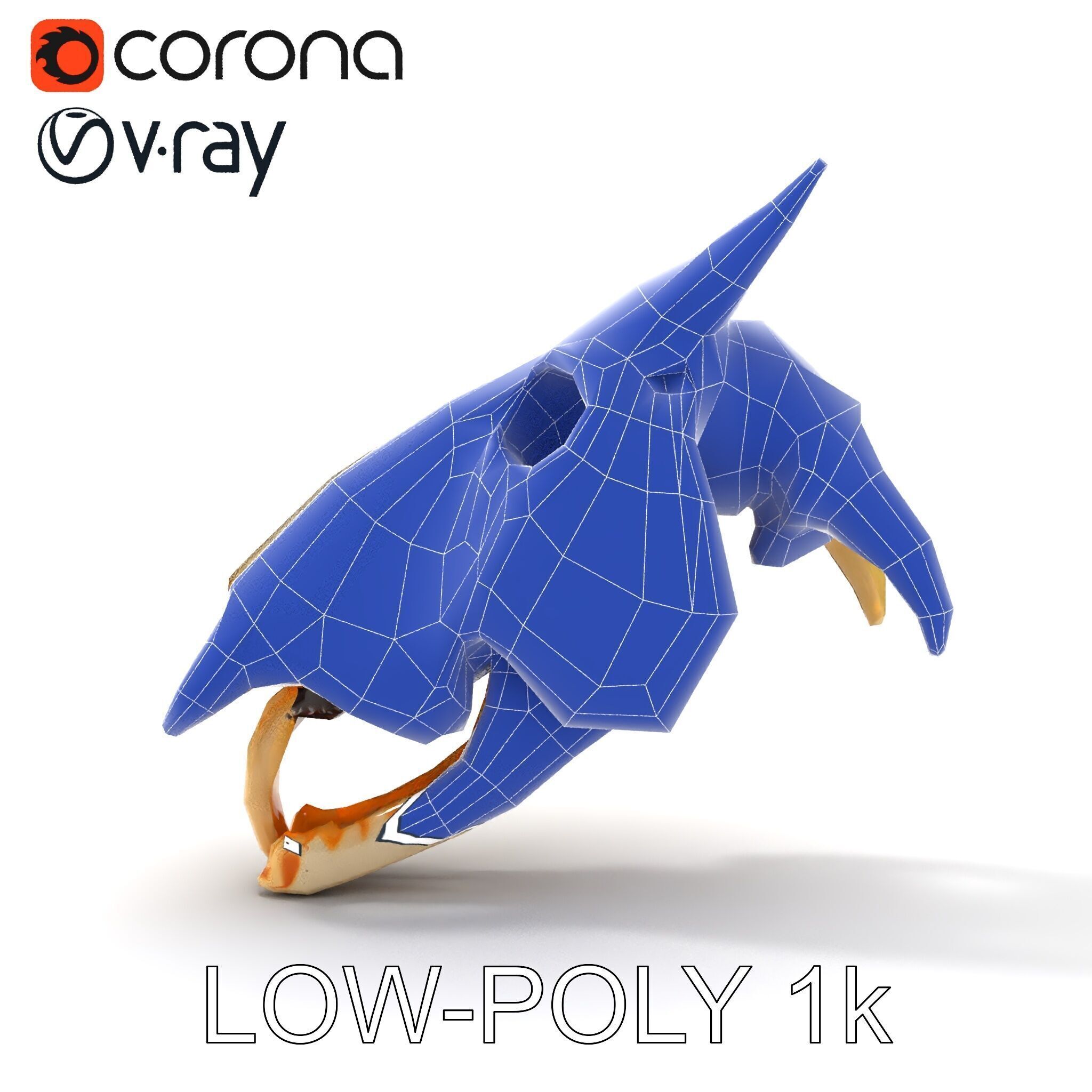 Realistic Animal Skull Model Pack Low-poly 3D model_25