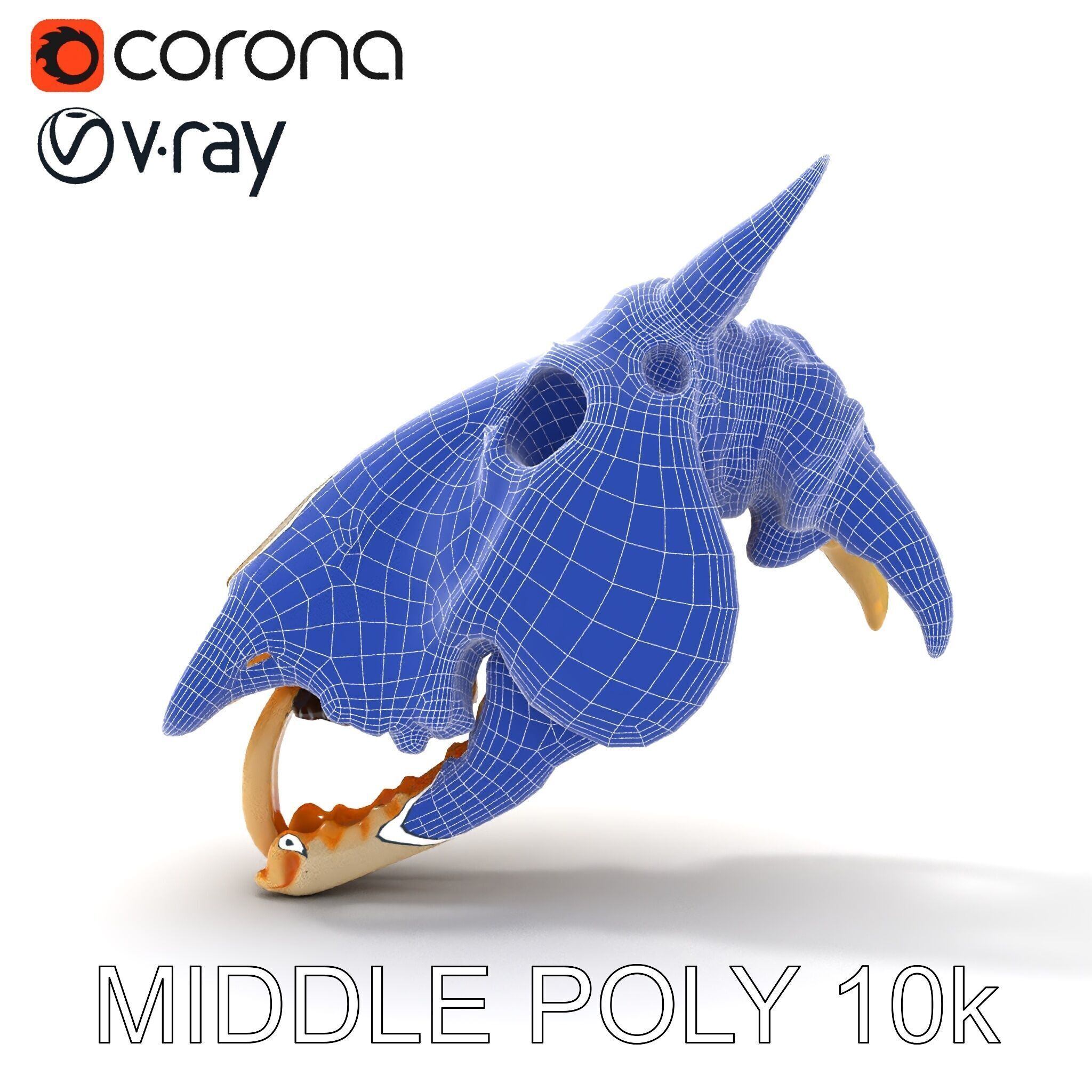 Realistic Animal Skull Model Pack Low-poly 3D model_10
