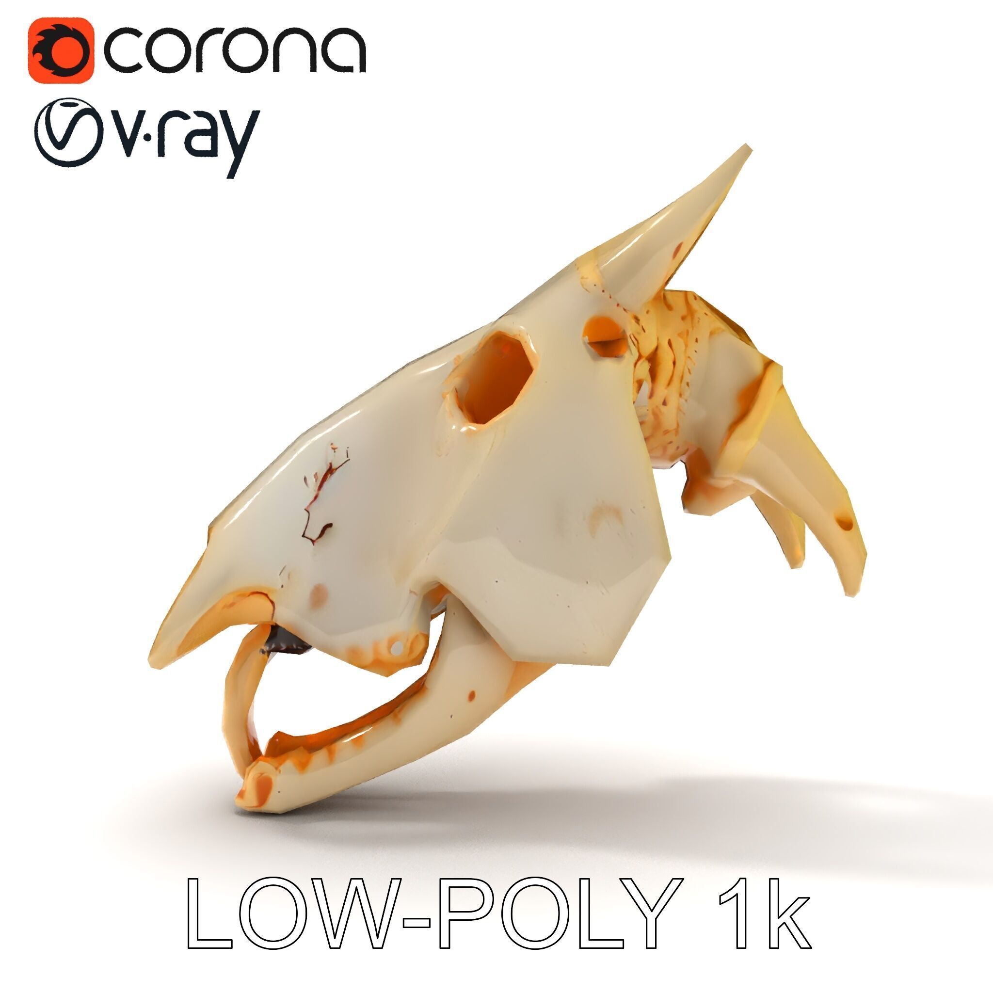 Realistic Animal Skull Model Pack Low-poly 3D model_9