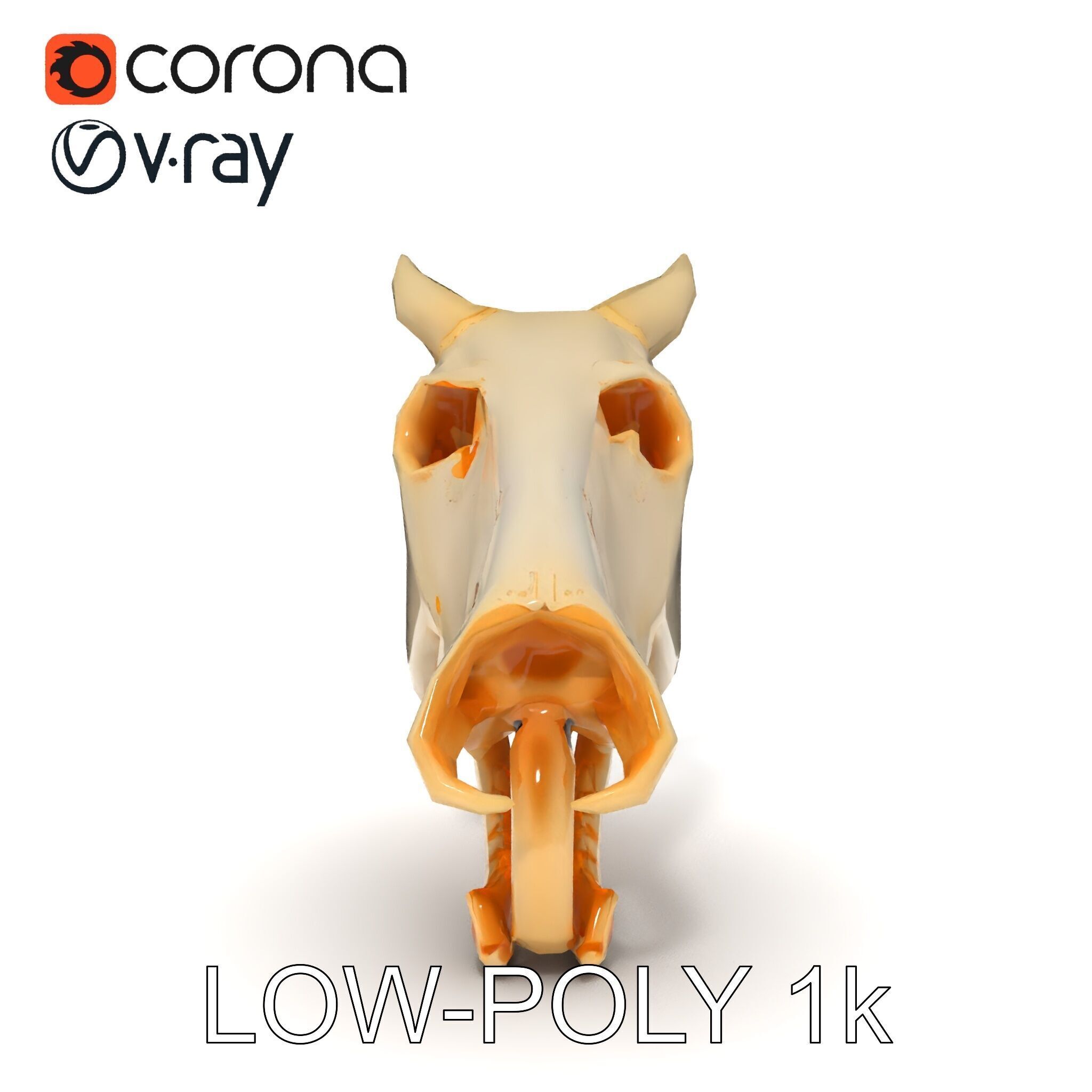 Realistic Animal Skull Model Pack Low-poly 3D model_30