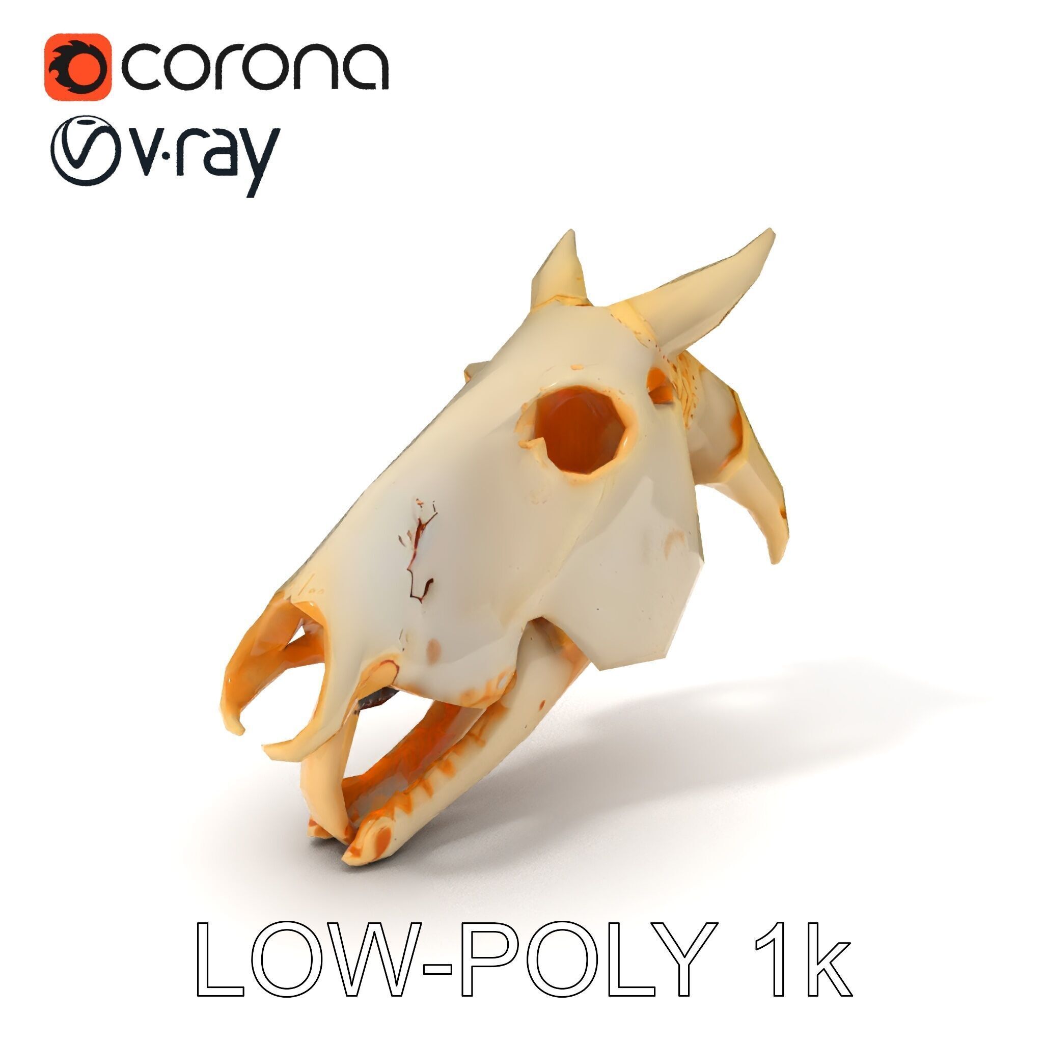 Realistic Animal Skull Model Pack Low-poly 3D model_14