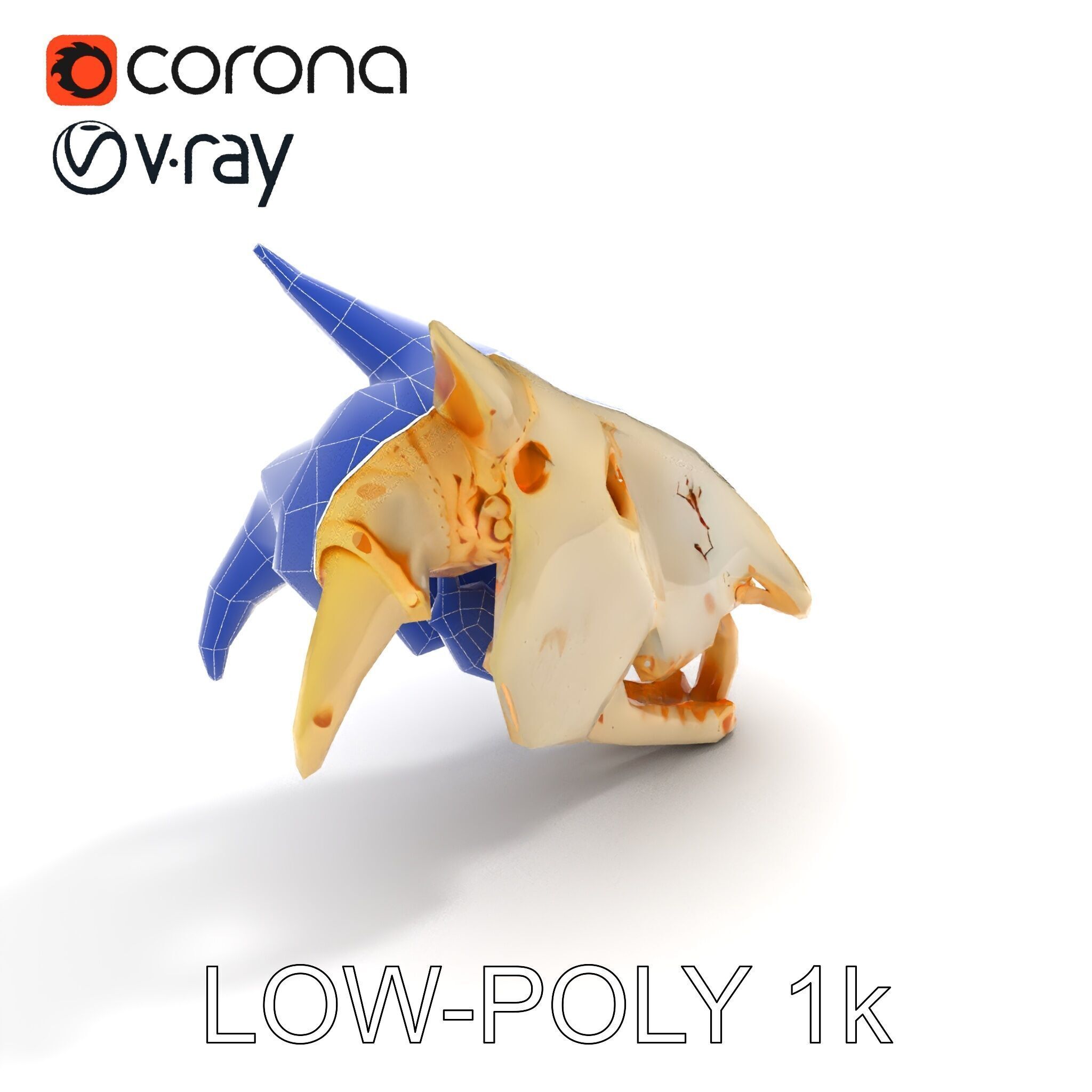 Realistic Animal Skull Model Pack Low-poly 3D model_11