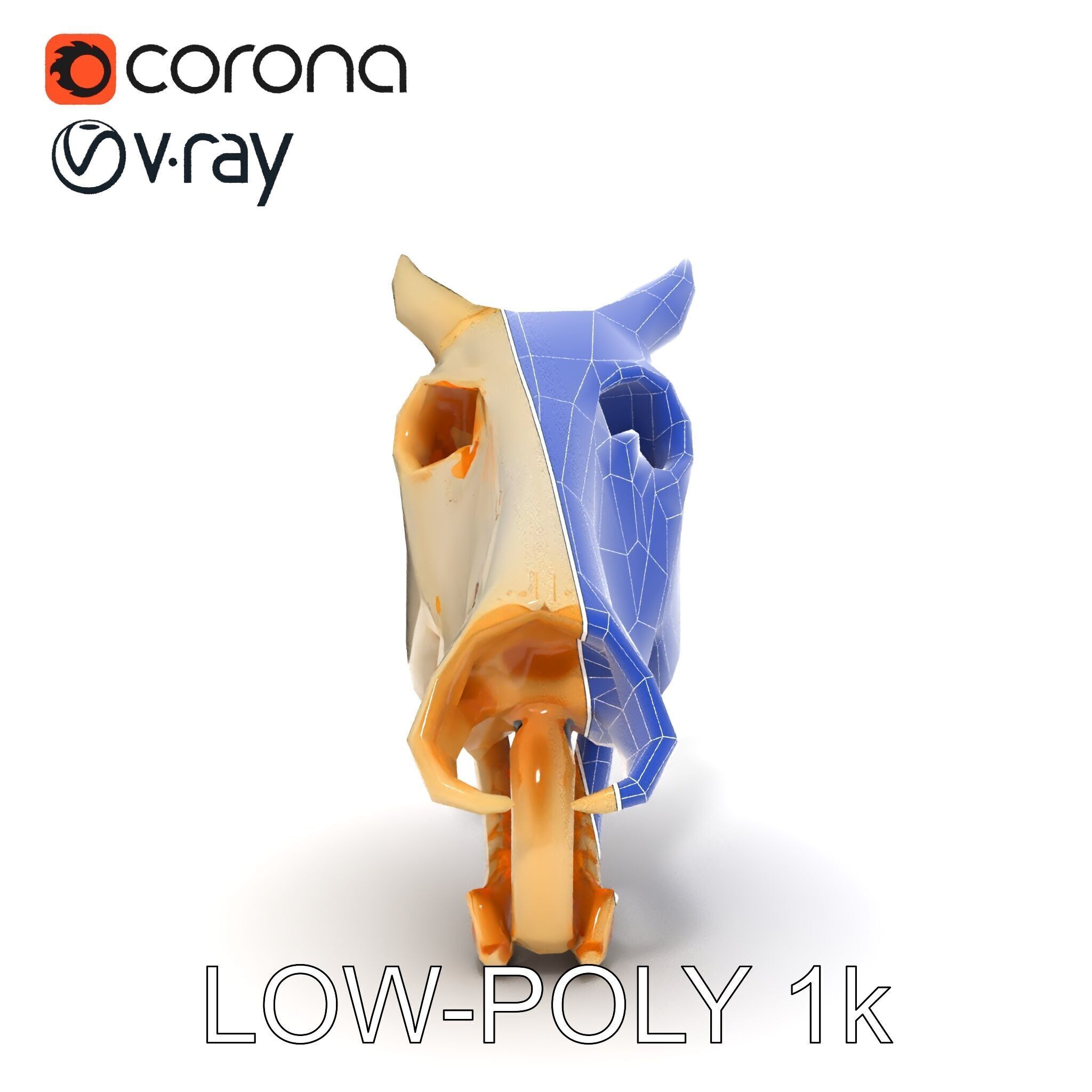 Realistic Animal Skull Model Pack Low-poly 3D model_7