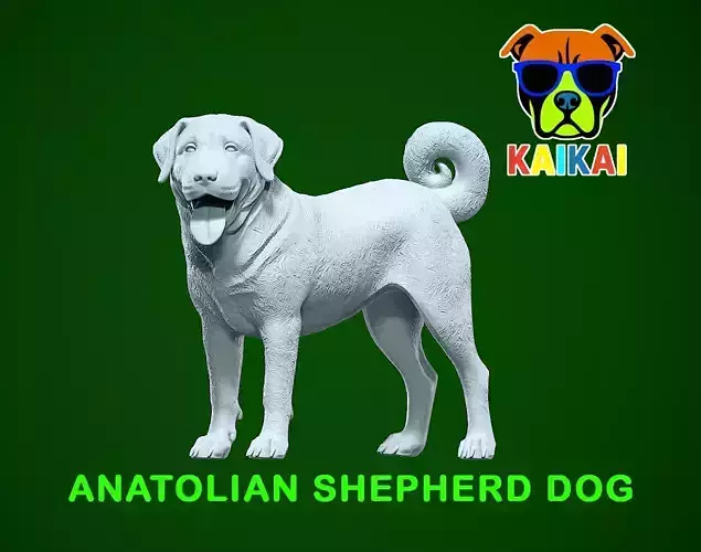 Anatolian Shepherd Dog model - 3D print