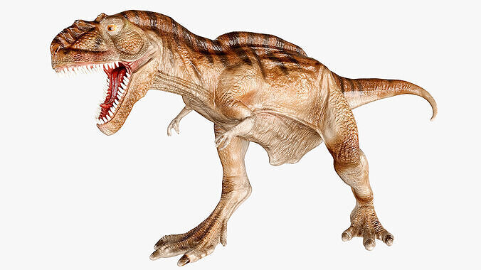 Tyrannosaurus Rex roaring  Low-poly 3D model