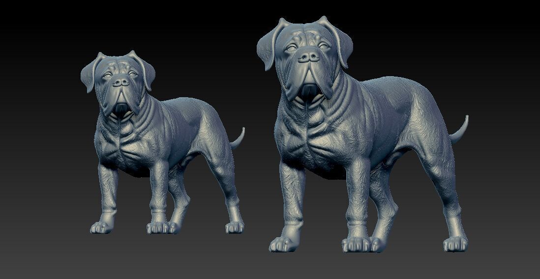 Boerboel statue - South African Mastiff model - 3D print 3D print model_2