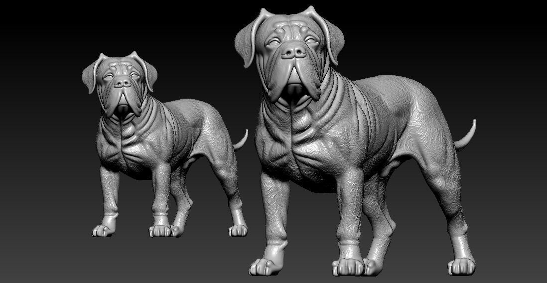 Boerboel statue - South African Mastiff model - 3D print 3D print model_1