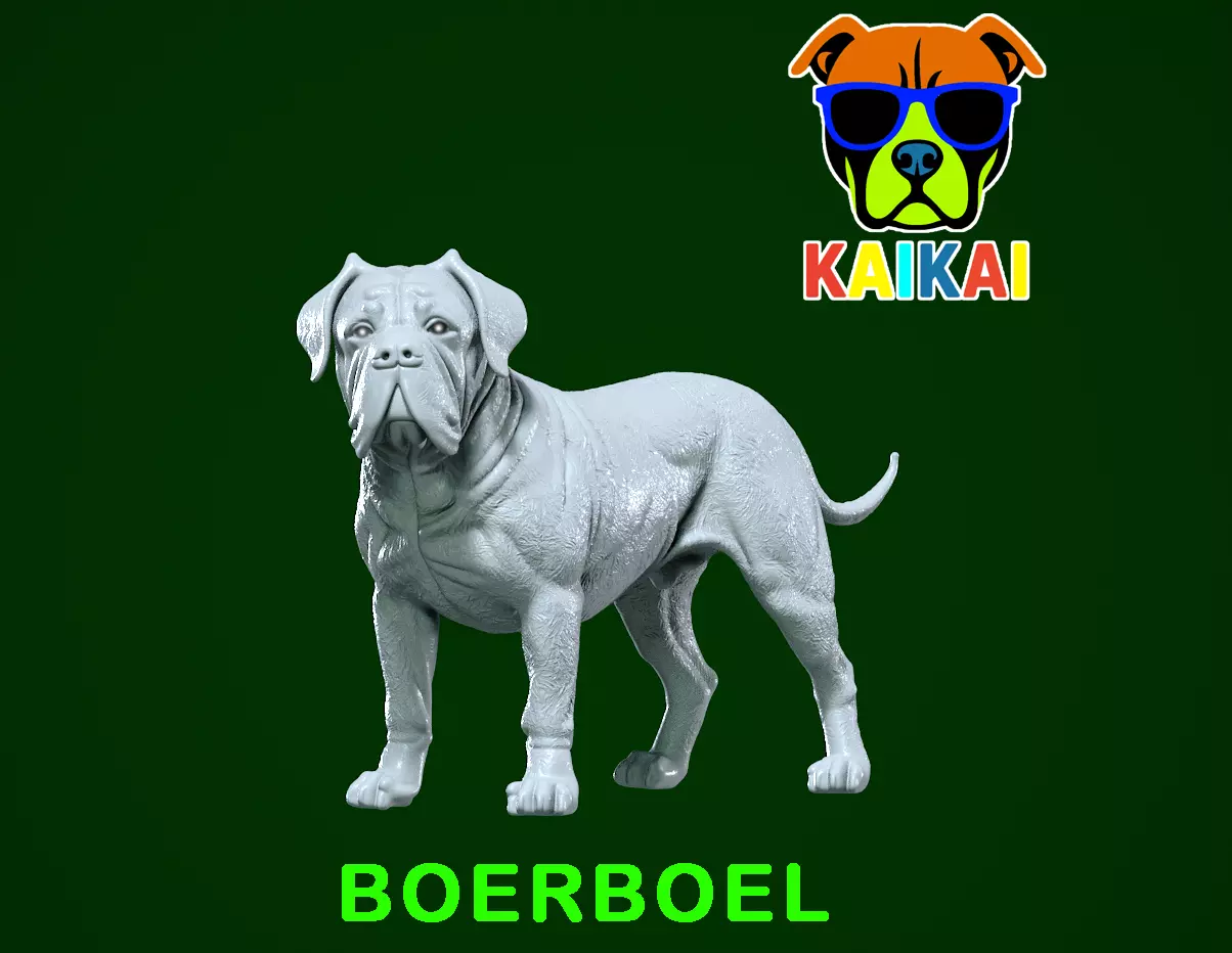 Boerboel statue - South African Mastiff model - 3D print 3D print model_0
