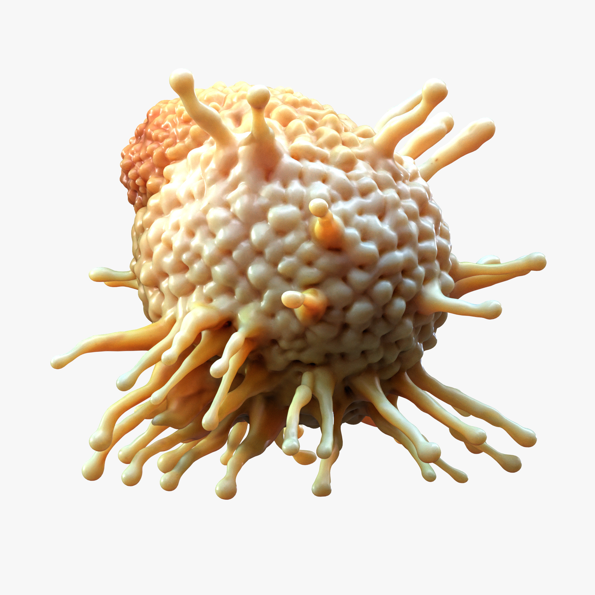 Cancer Cell Tumor 3D model_3