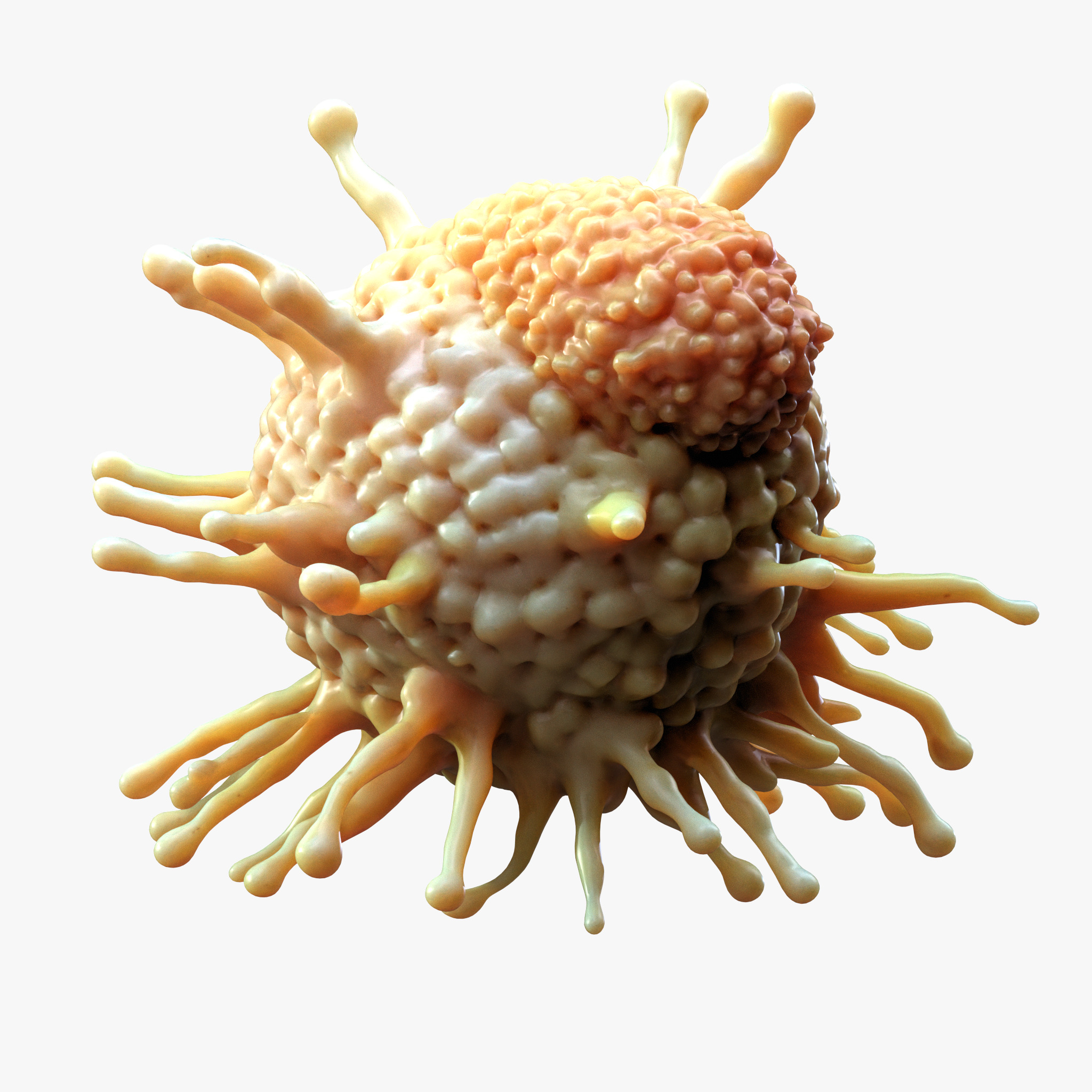 Cancer Cell Tumor 3D model_1