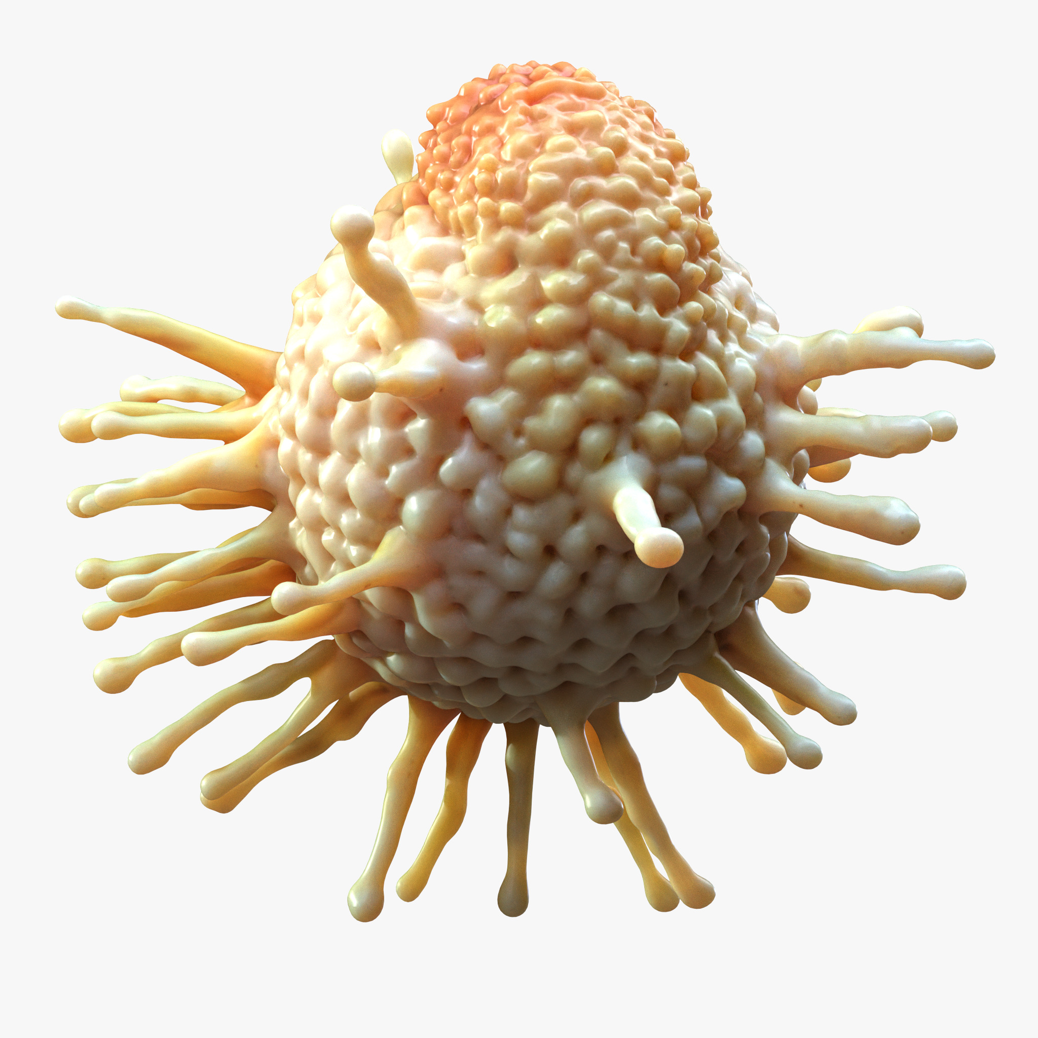 Cancer Cell Tumor 3D model_2