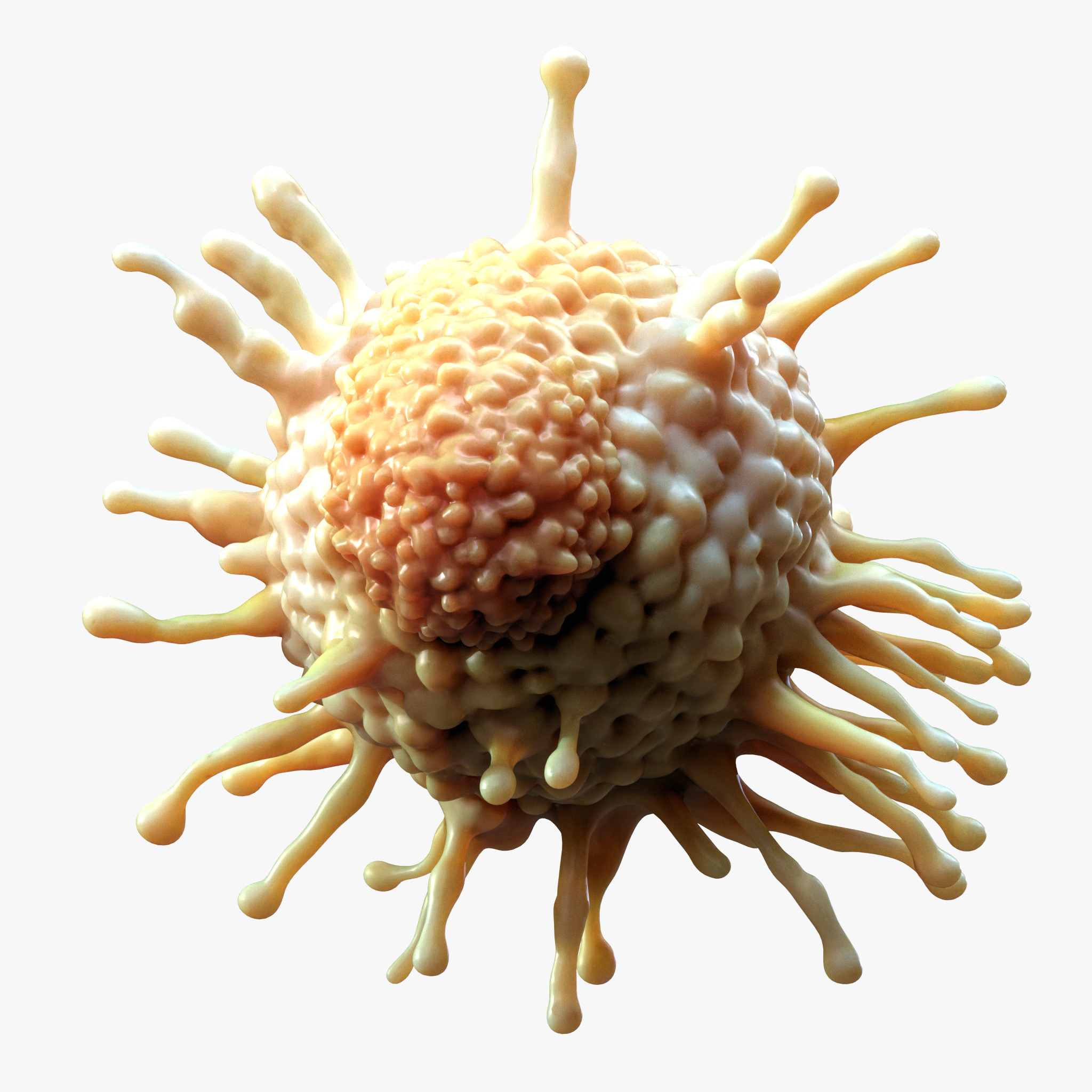 Cancer Cell Tumor 3D model_4