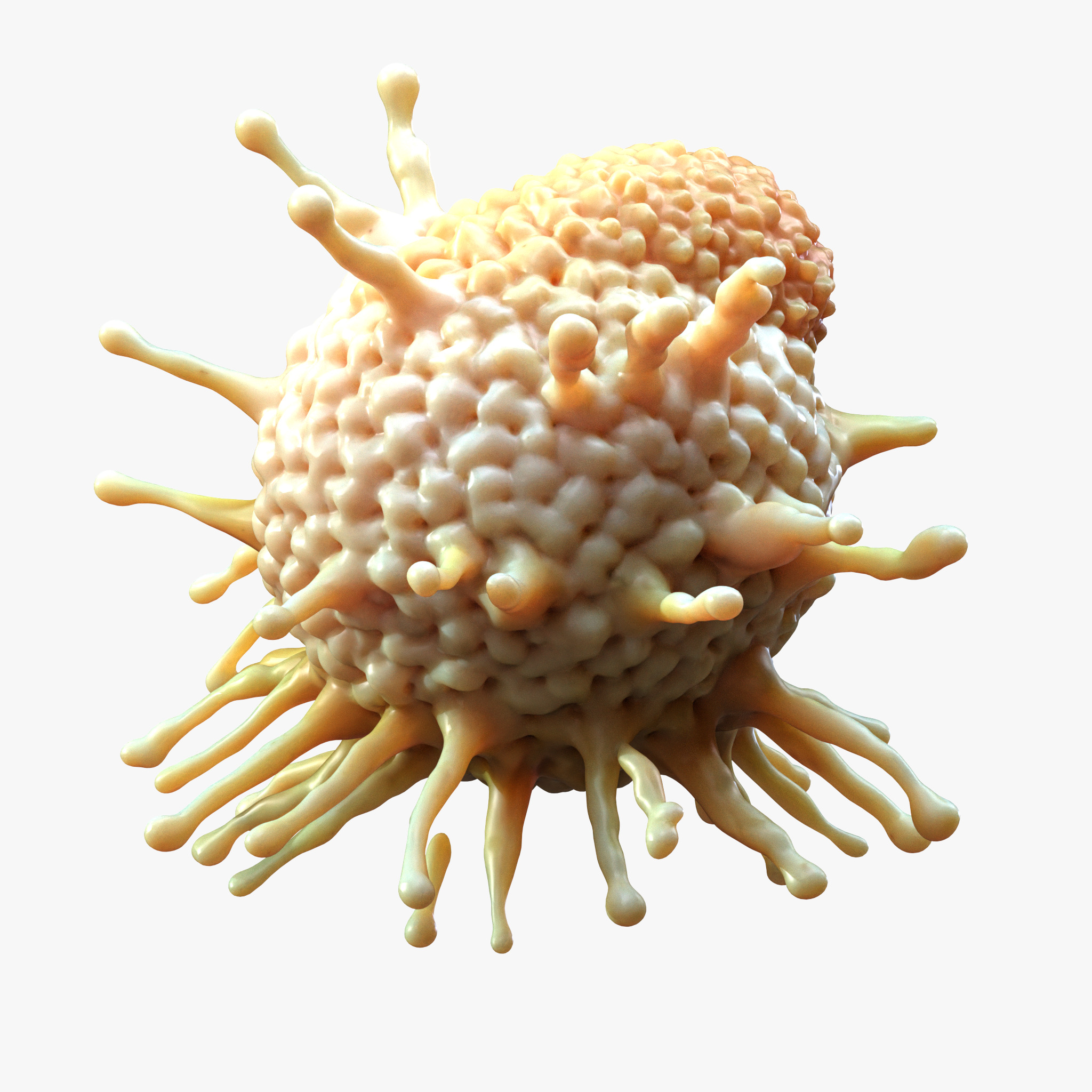 Cancer Cell Tumor 3D model_5