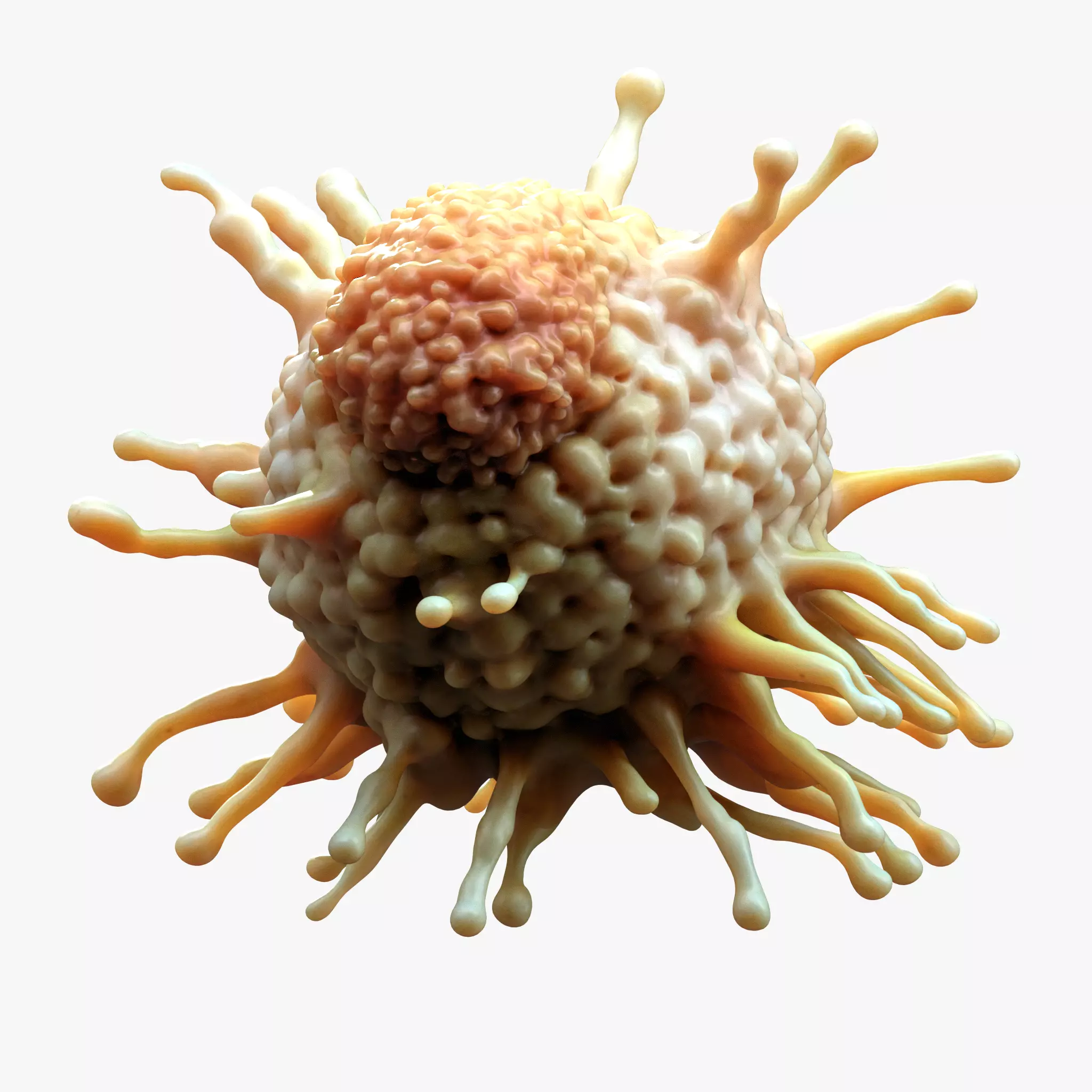 Cancer Cell Tumor 3D model_0