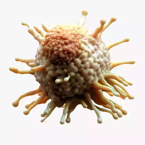Cancer Cell Tumor