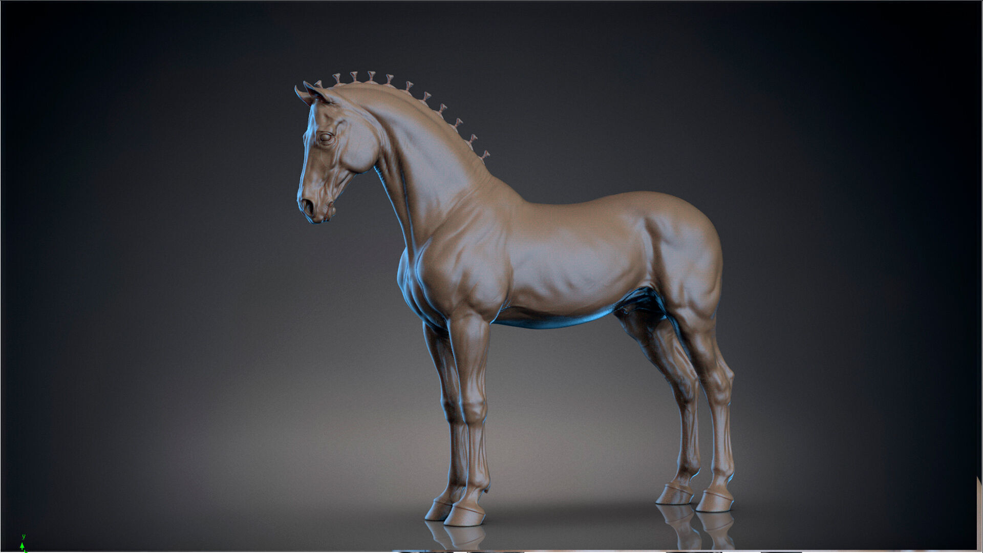 Horse Andalusian  - TPose 3D model_2