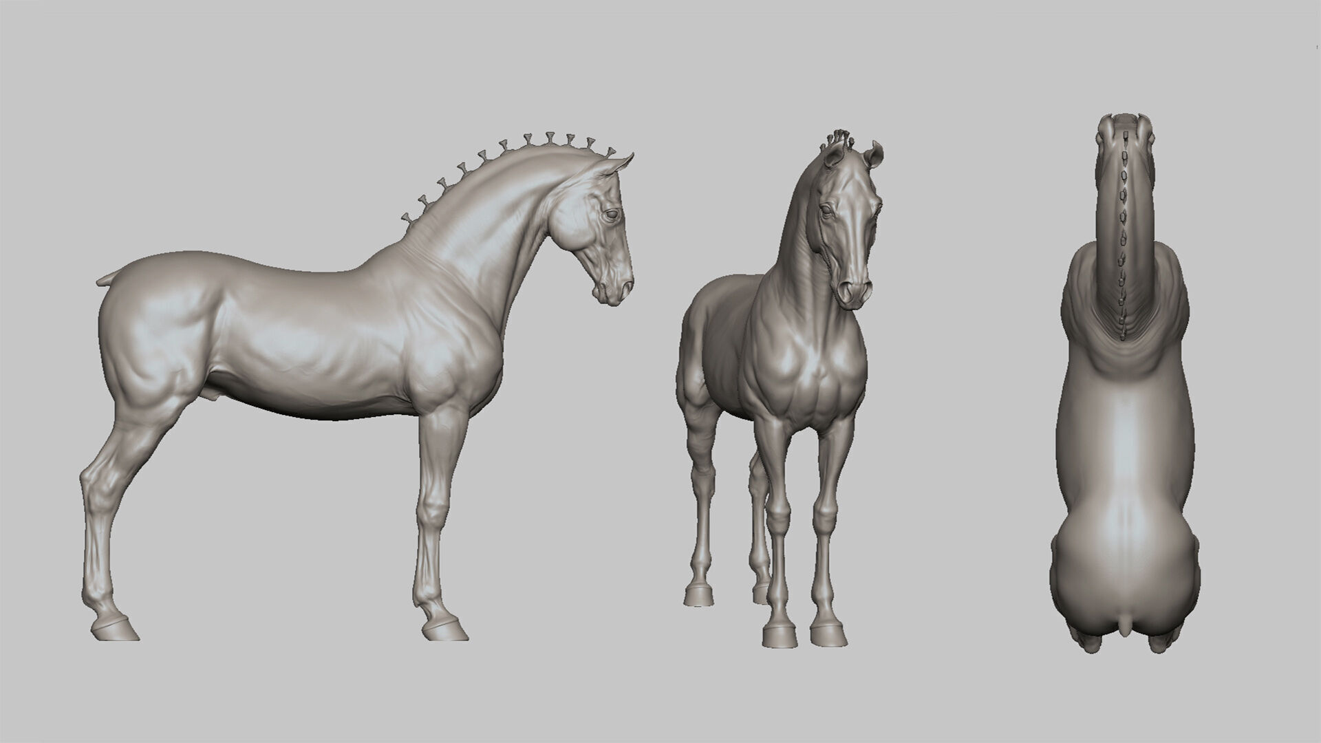 Horse Andalusian  - TPose 3D model_1
