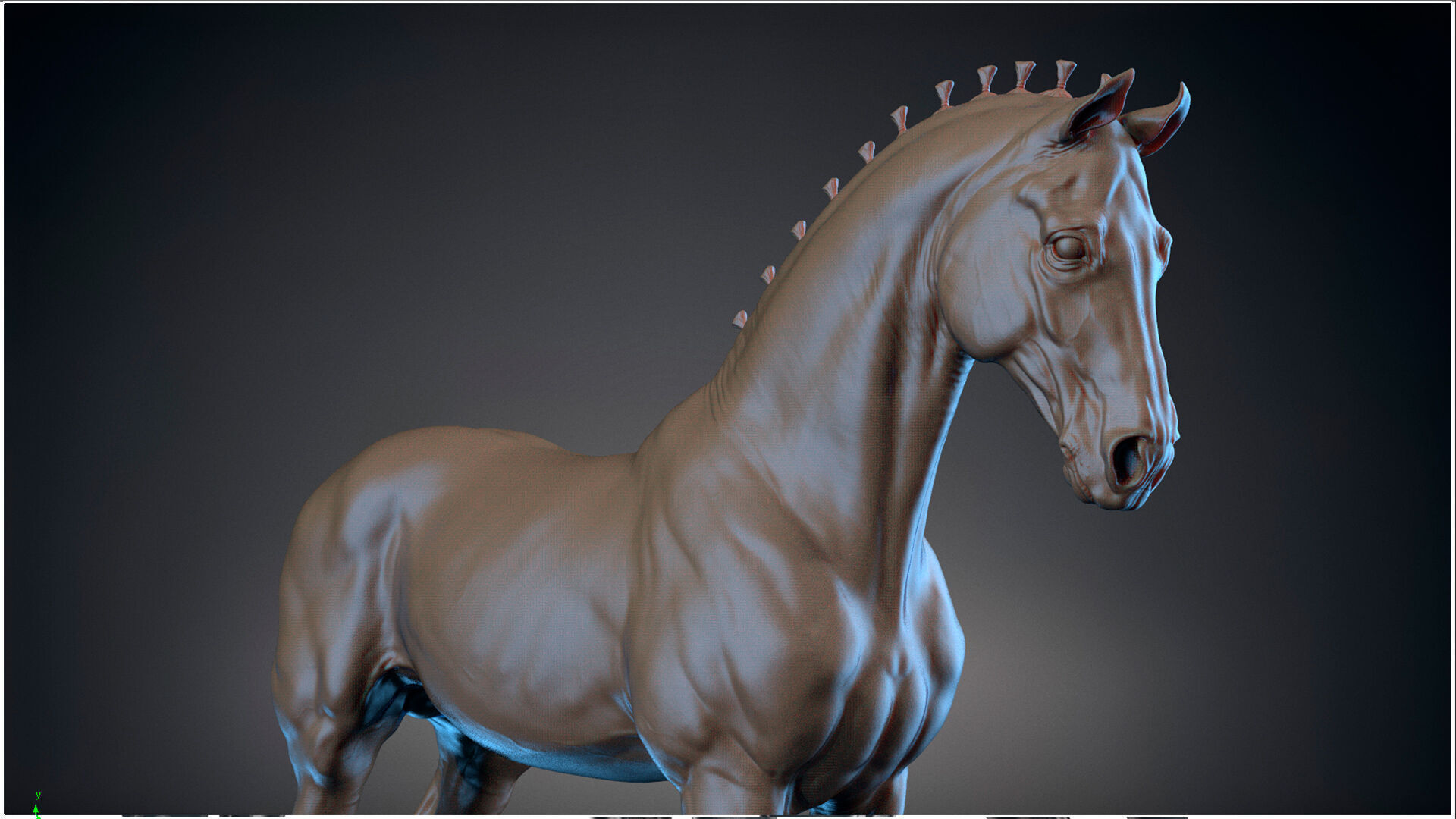 Horse Andalusian  - TPose 3D model_4
