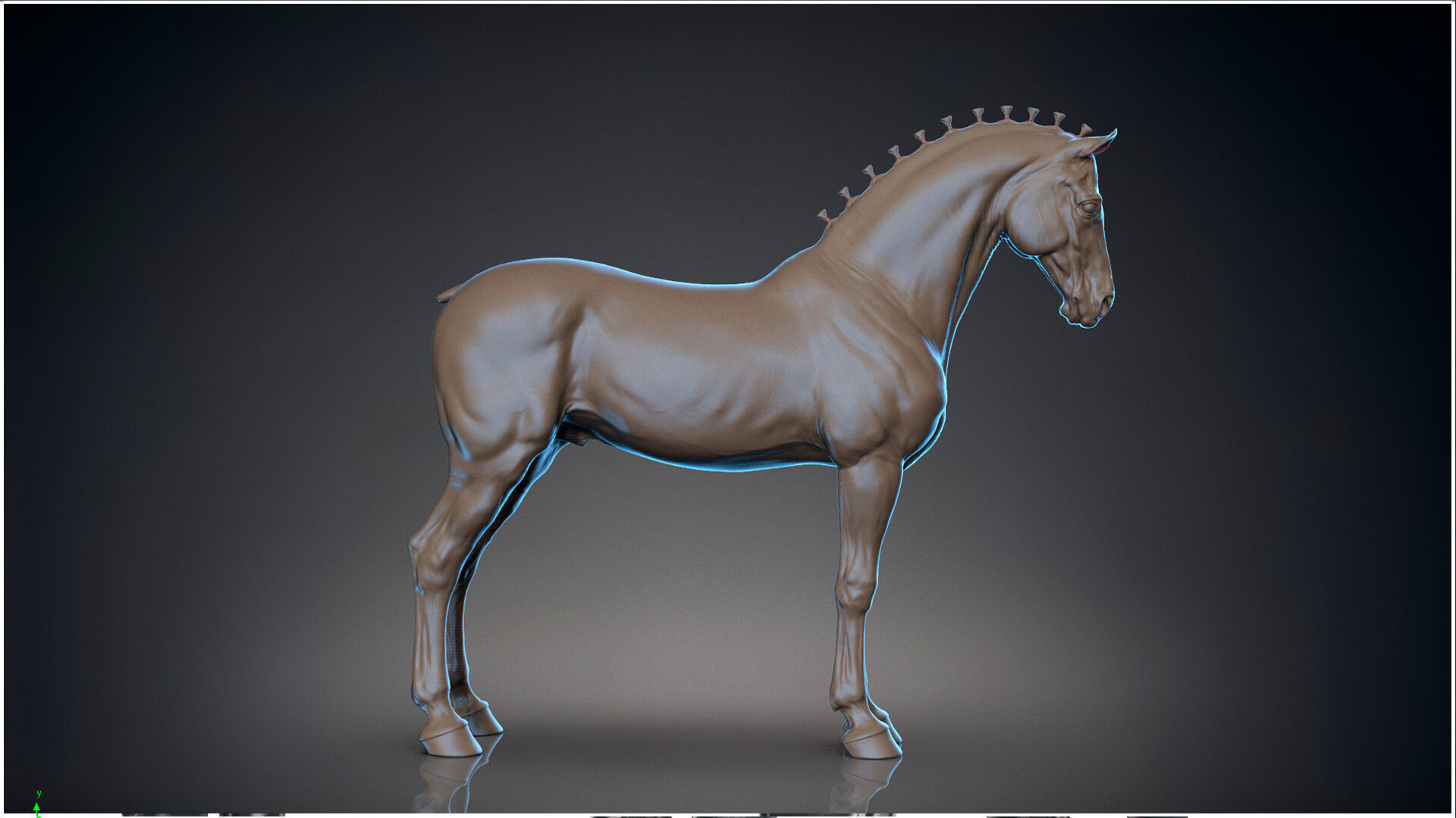 Horse Andalusian  - TPose 3D model_5