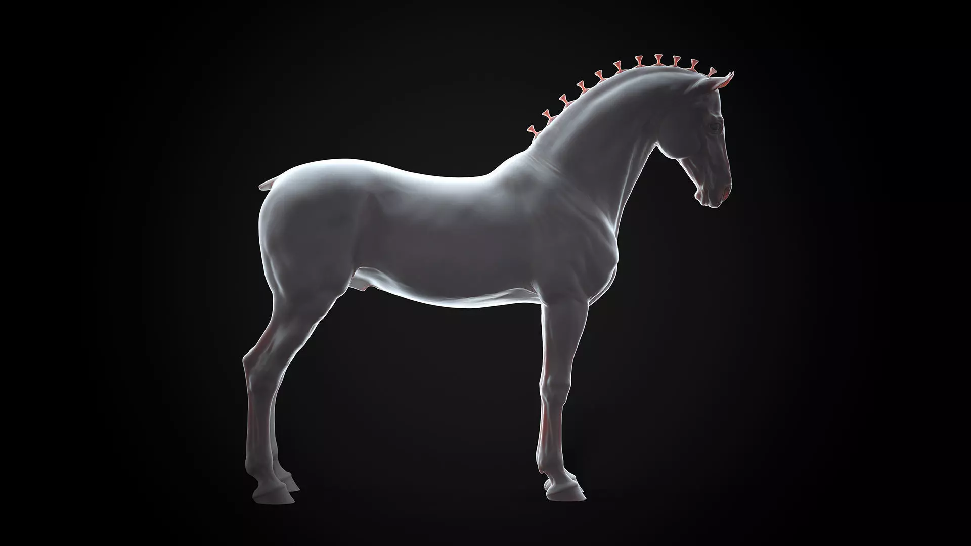 Horse Andalusian  - TPose 3D model_0