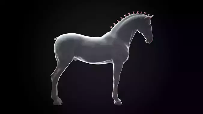 Horse Andalusian  - TPose 3D model