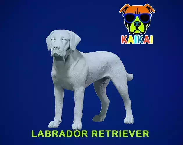 Labrador Retriever statue - Labrador model - 3D print