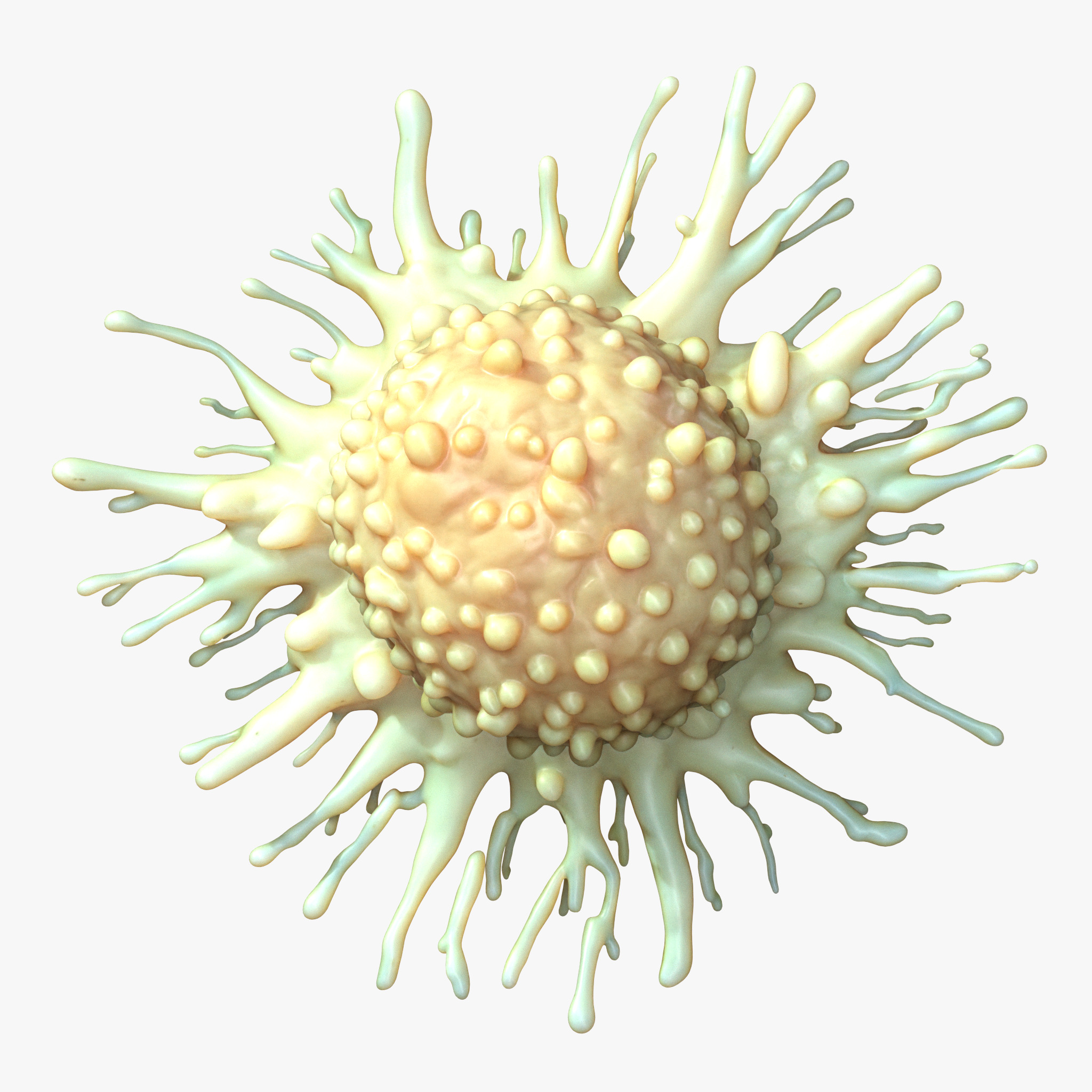 Cancer Cell Tumor 3D model_3