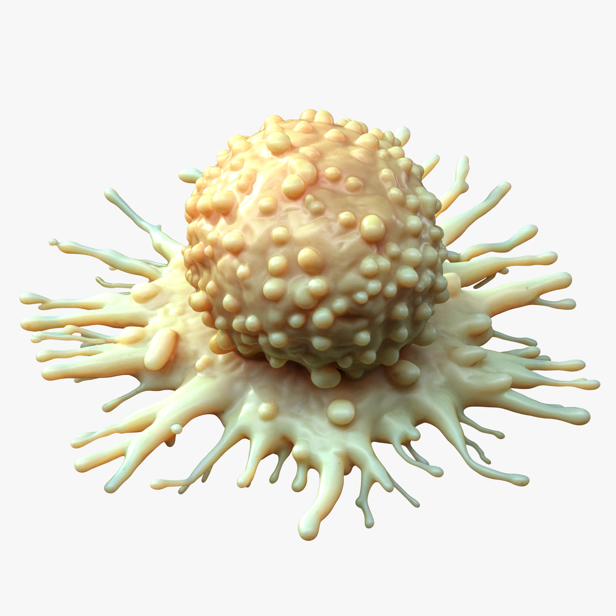 Cancer Cell Tumor 3D model_4