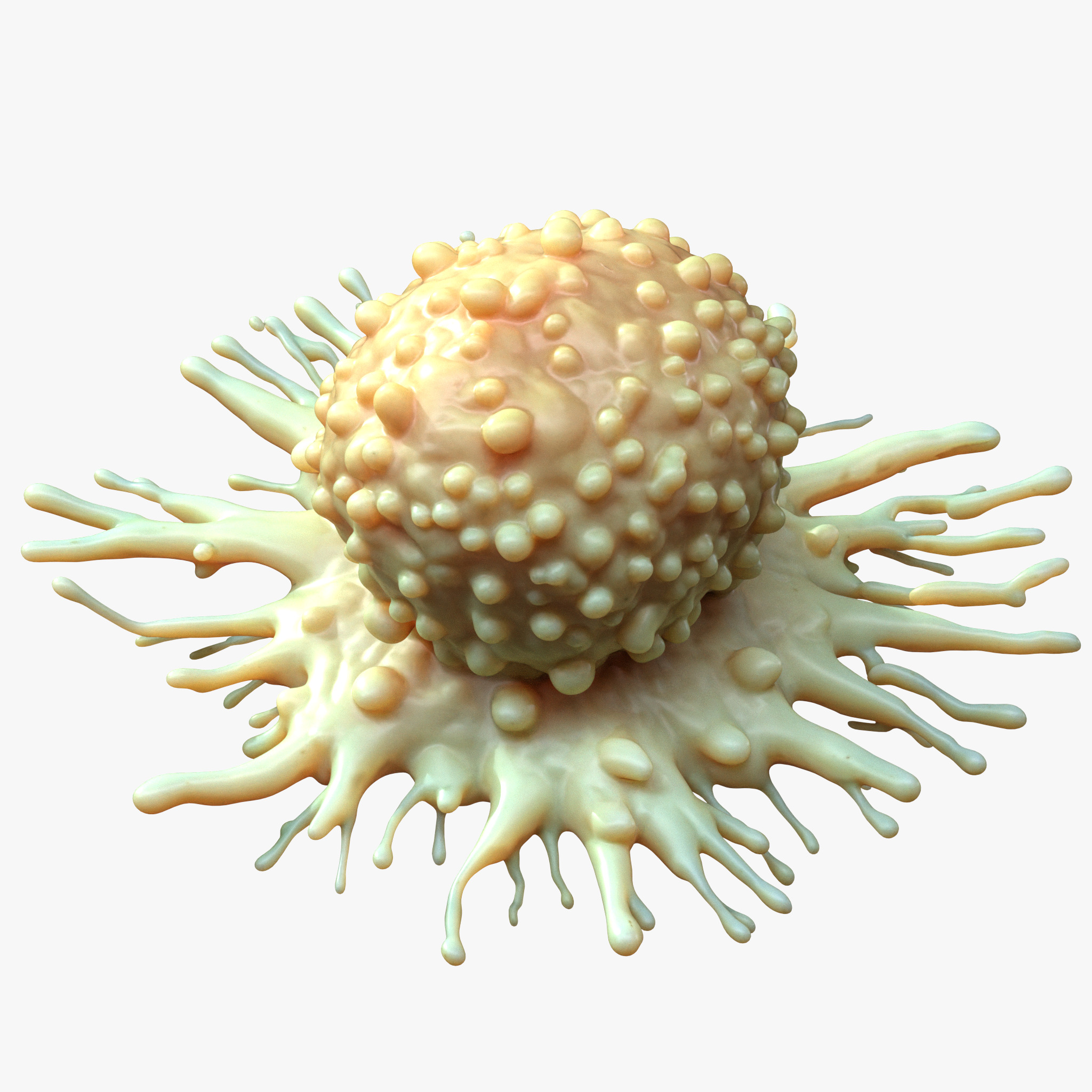Cancer Cell Tumor 3D model_5