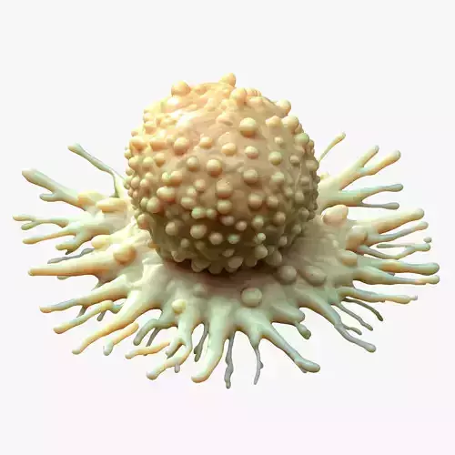 Cancer Cell Tumor