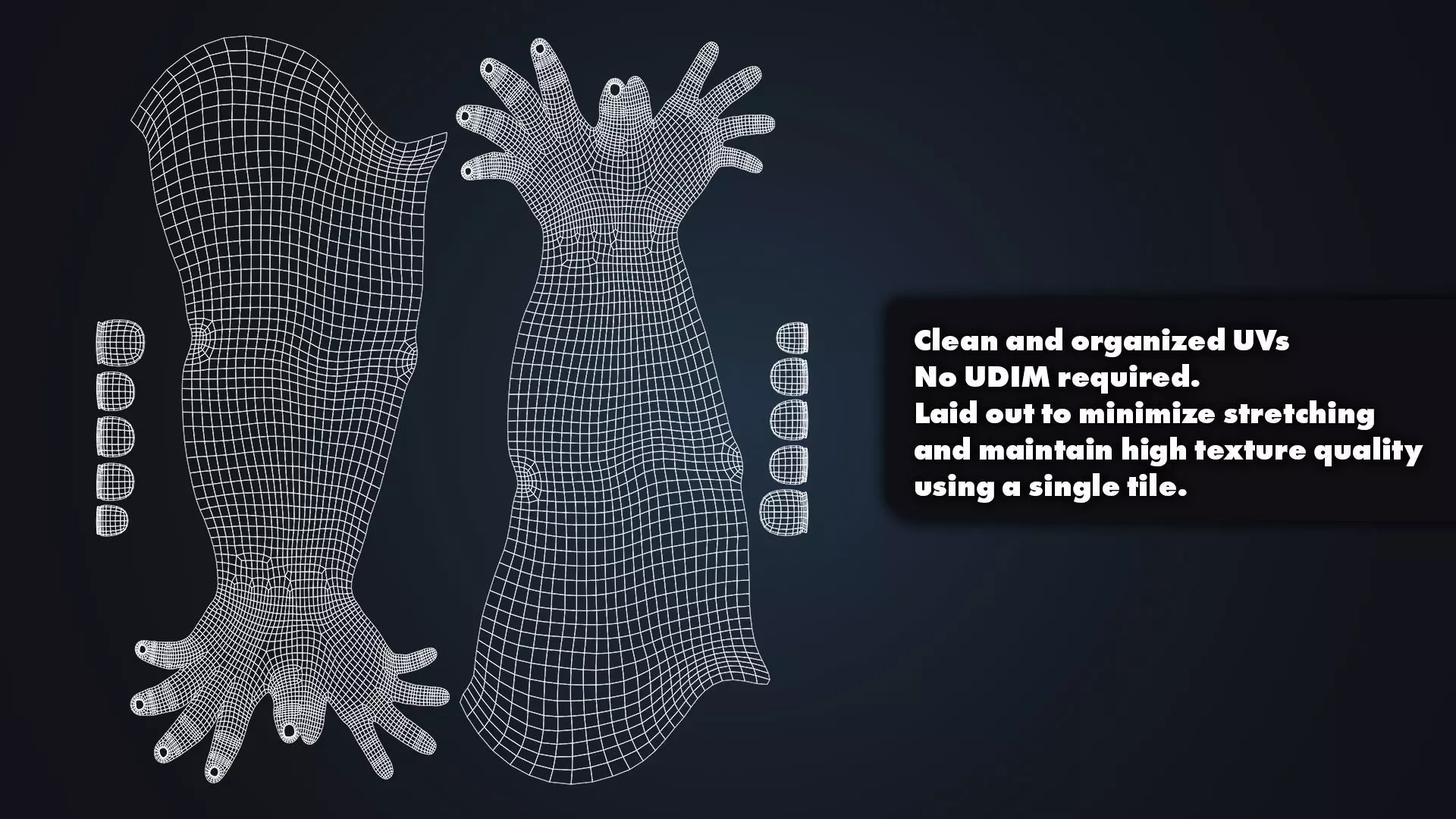 Realistic Female Arms - Cinematic Edition 3D model_10