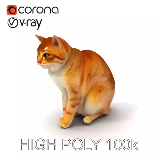 Realistic Cat D Model Pack