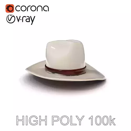 Western Cowboy Hat D Model Pack Low-poly 3D model