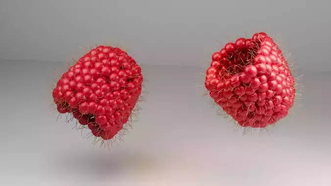 A unique 3D berries