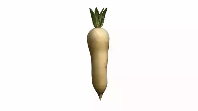 3d Render Fresh Homegrown Parsnips 