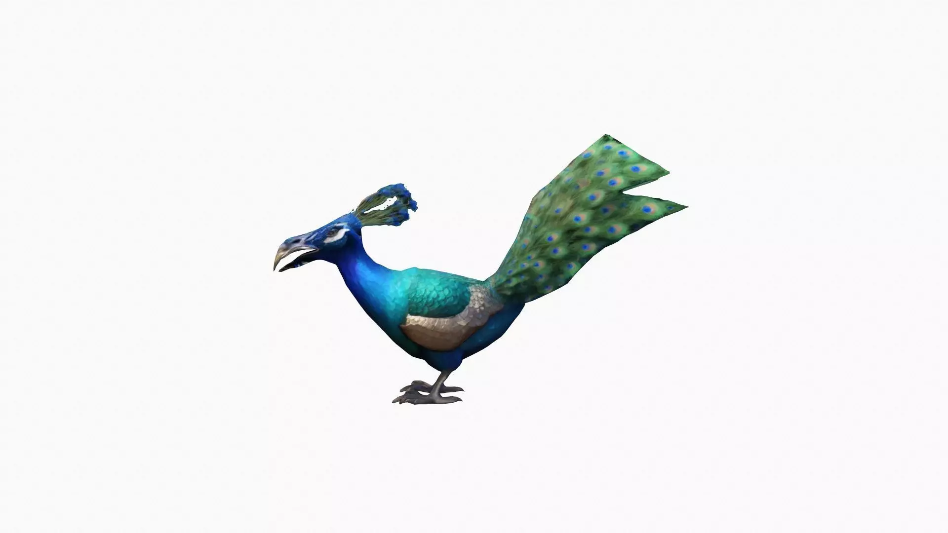 3d Render The Peacock Is A Dazzling Bird 3D model